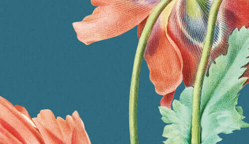 Herdabdeckplatte der Kollektion Vintage Flowers mit eleganten botanischen Illustrationen auf blauem Hintergrund.