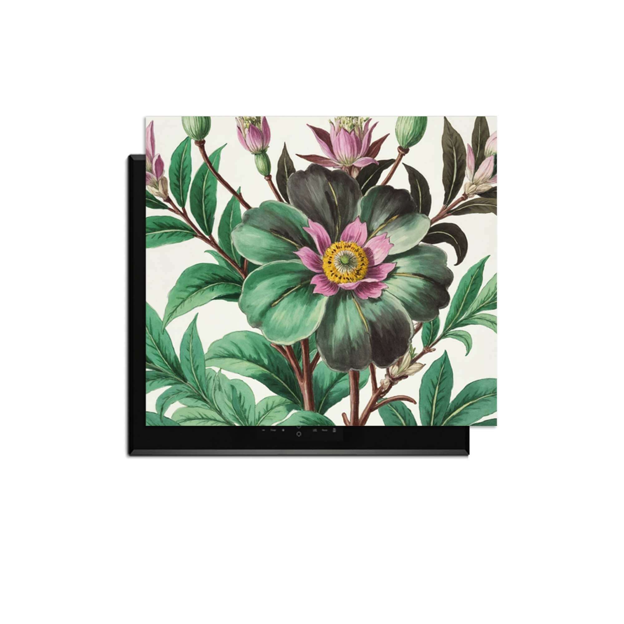 Botanical Grace - Herdabdeckplatte mit botanischen Illustrationen auf einem Induktionskochfeld.