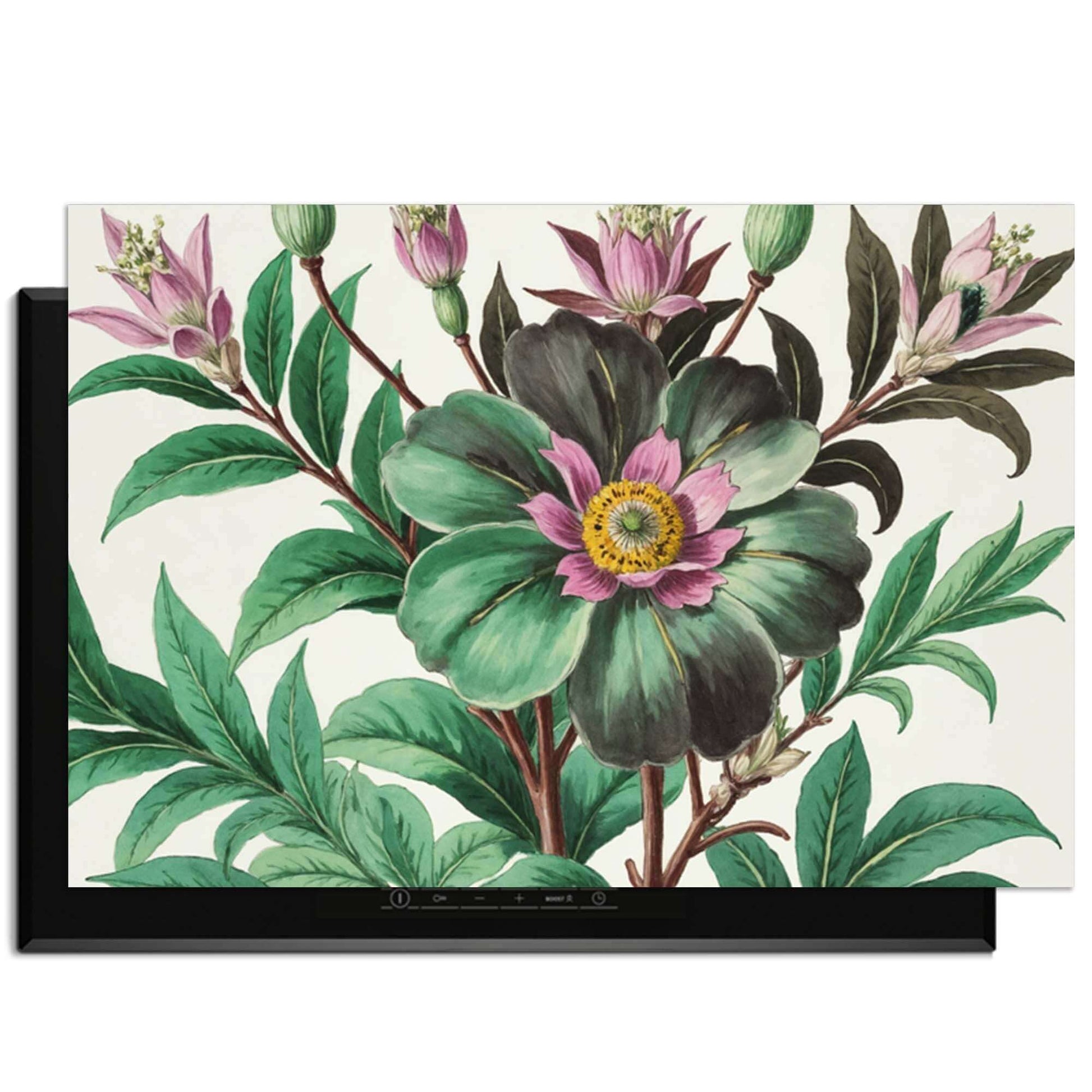 Botanical Grace - Herdabdeckplatte mit handgemalten botanischen Illustrationen auf einem Induktionskochfeld.