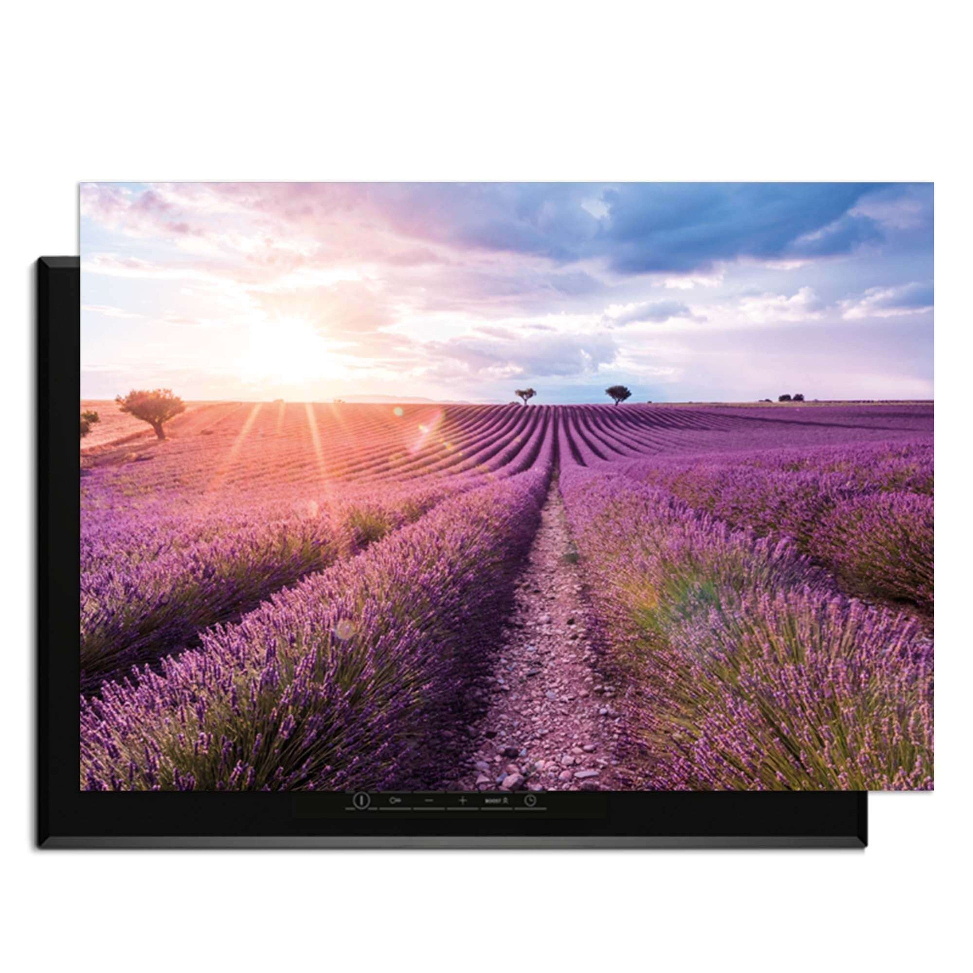 Lavender Horizon - Herdabdeckplatte mit einer schönen Aussicht auf Lavendelfelder im Sonnenuntergang.