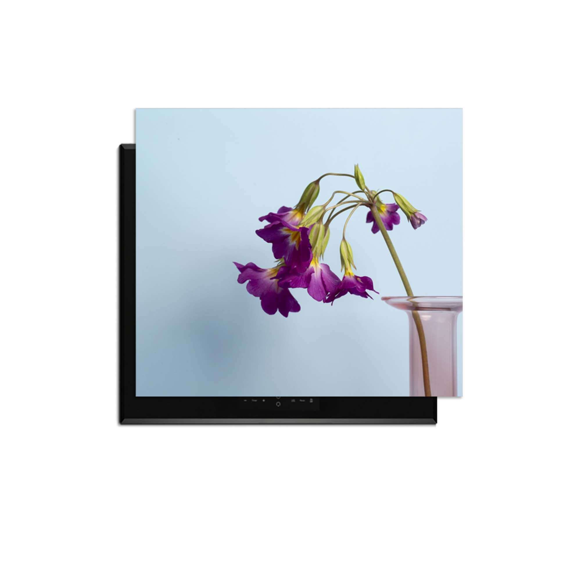 Delicate Drop - Herdabdeckplatte auf Induktionskochfeld mit lila Blumen in einer Vase.