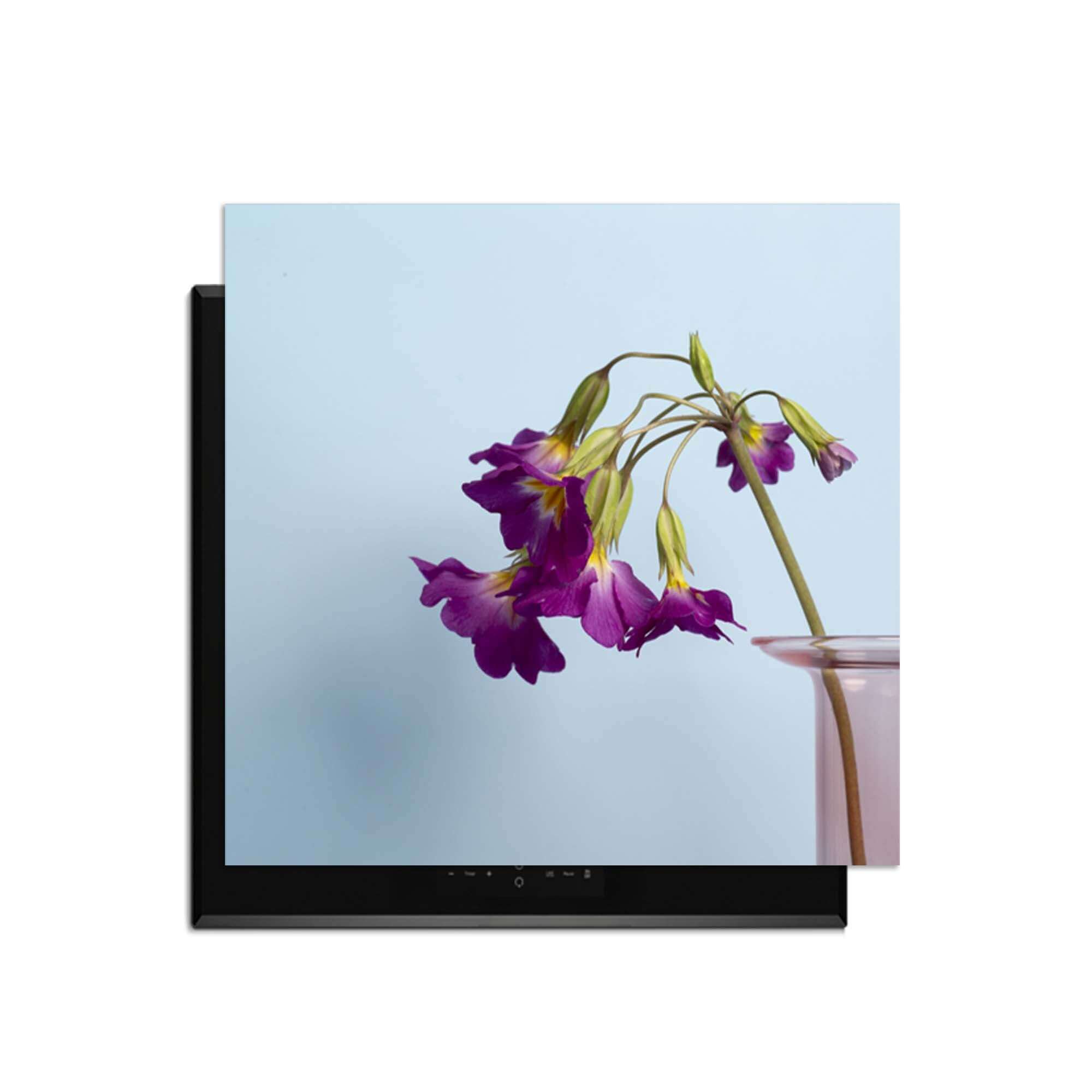 Delicate Drop - Herdabdeckplatte mit lila Blumen auf hellblauem Hintergrund, perfekt für moderne Küchen.