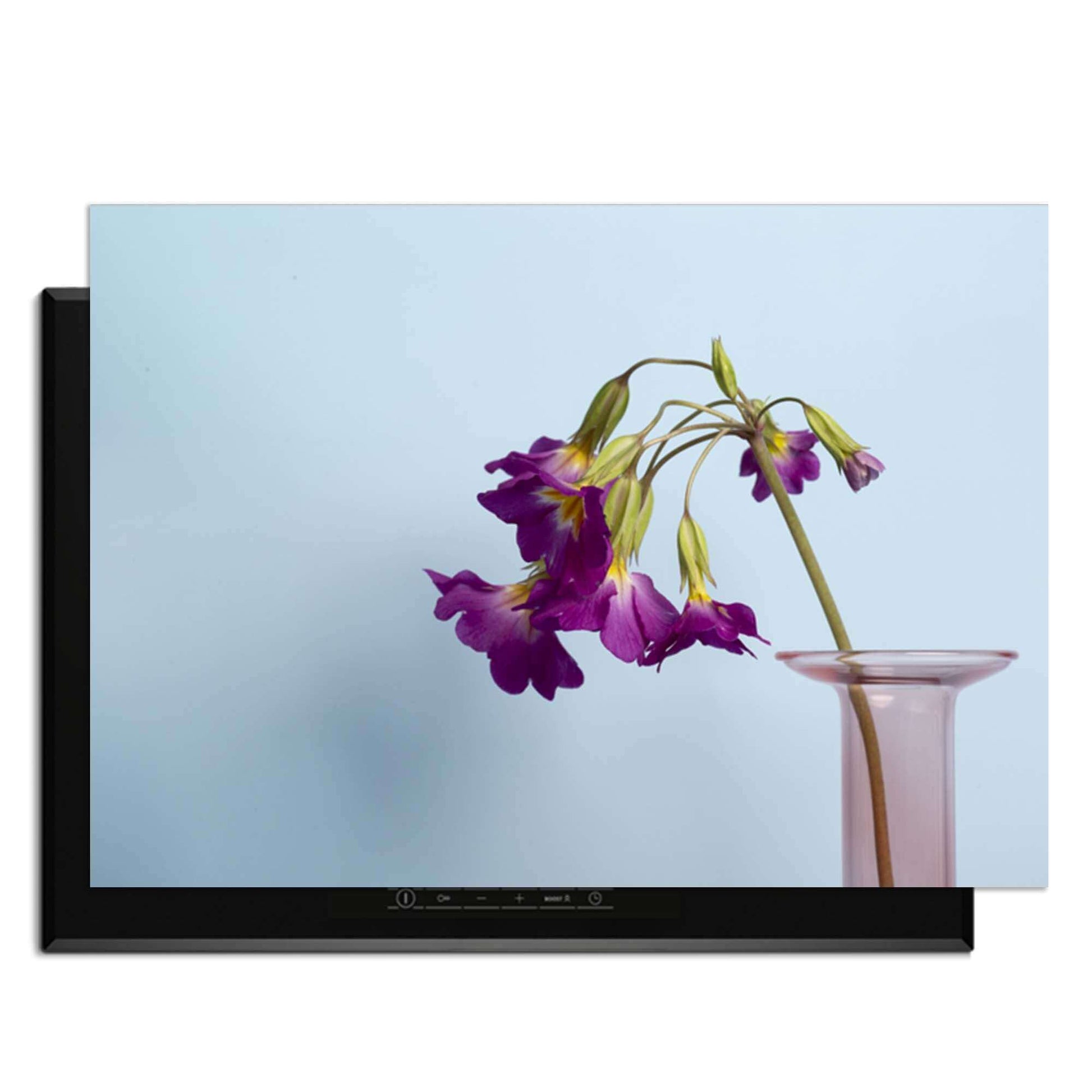 Delicate Drop - Herdabdeckplatte mit einem eleganten Design und lila Blumen auf blauem Hintergrund.