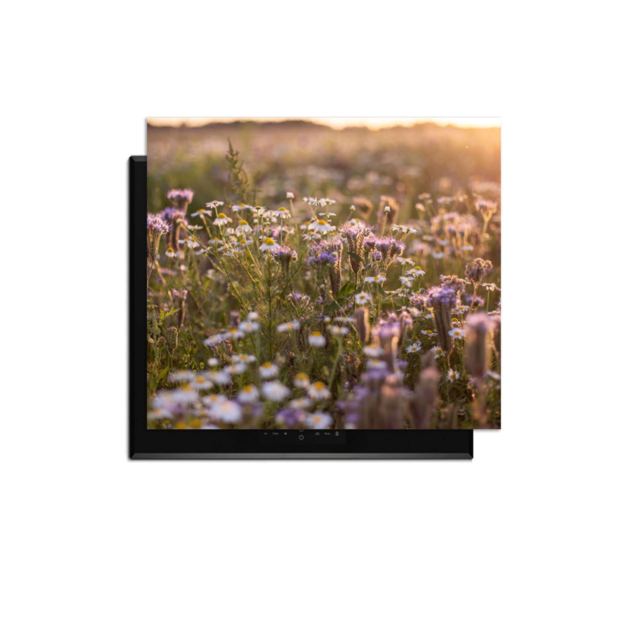 Evening Meadow - Herdabdeckplatte mit einer ruhigen Blumenwiese in der Sonne, ideal zum Schutz Ihres Induktionskochfelds.