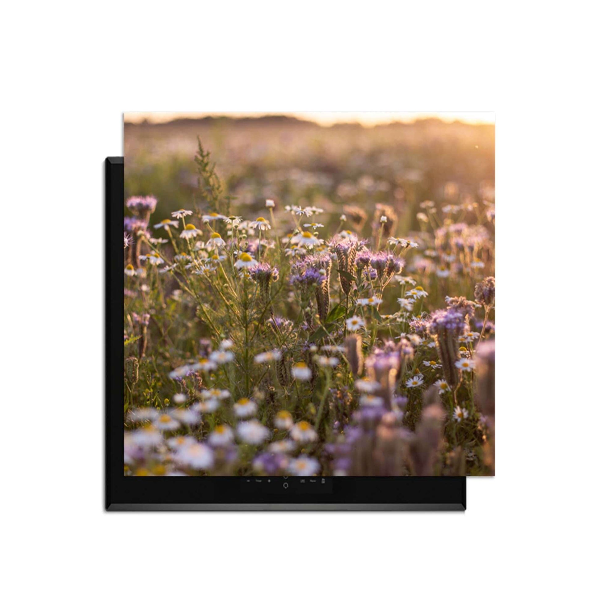 Evening Meadow - Herdabdeckplatte mit einer schönen Blumenlandschaft in der Sonne.