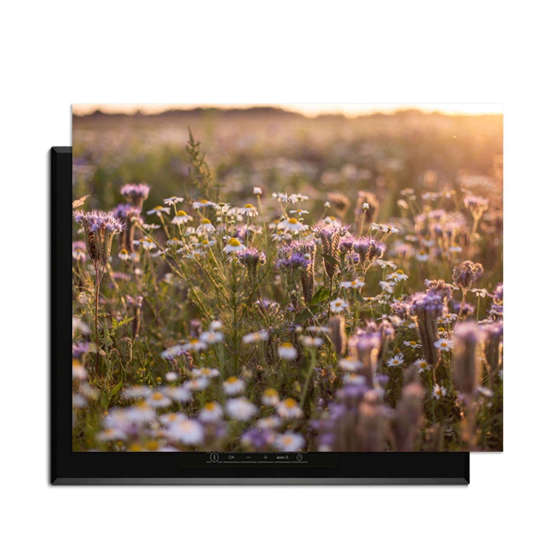 Evening Meadow - Herdabdeckplatte mit einer heiteren Blumenwiese im Sonnenlicht.