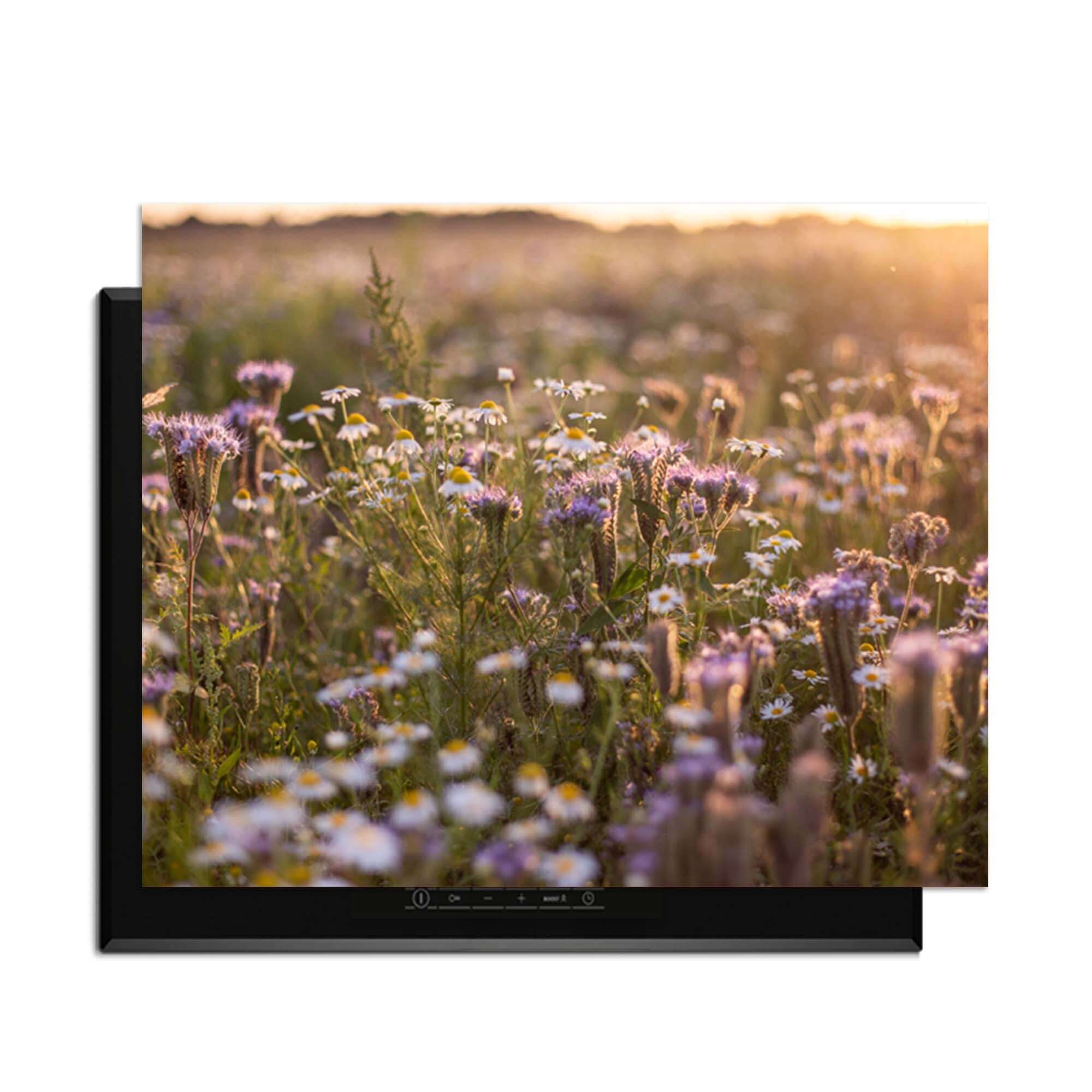 Evening Meadow - Herdabdeckplatte mit einer heiteren Blumenwiese im Sonnenlicht.
