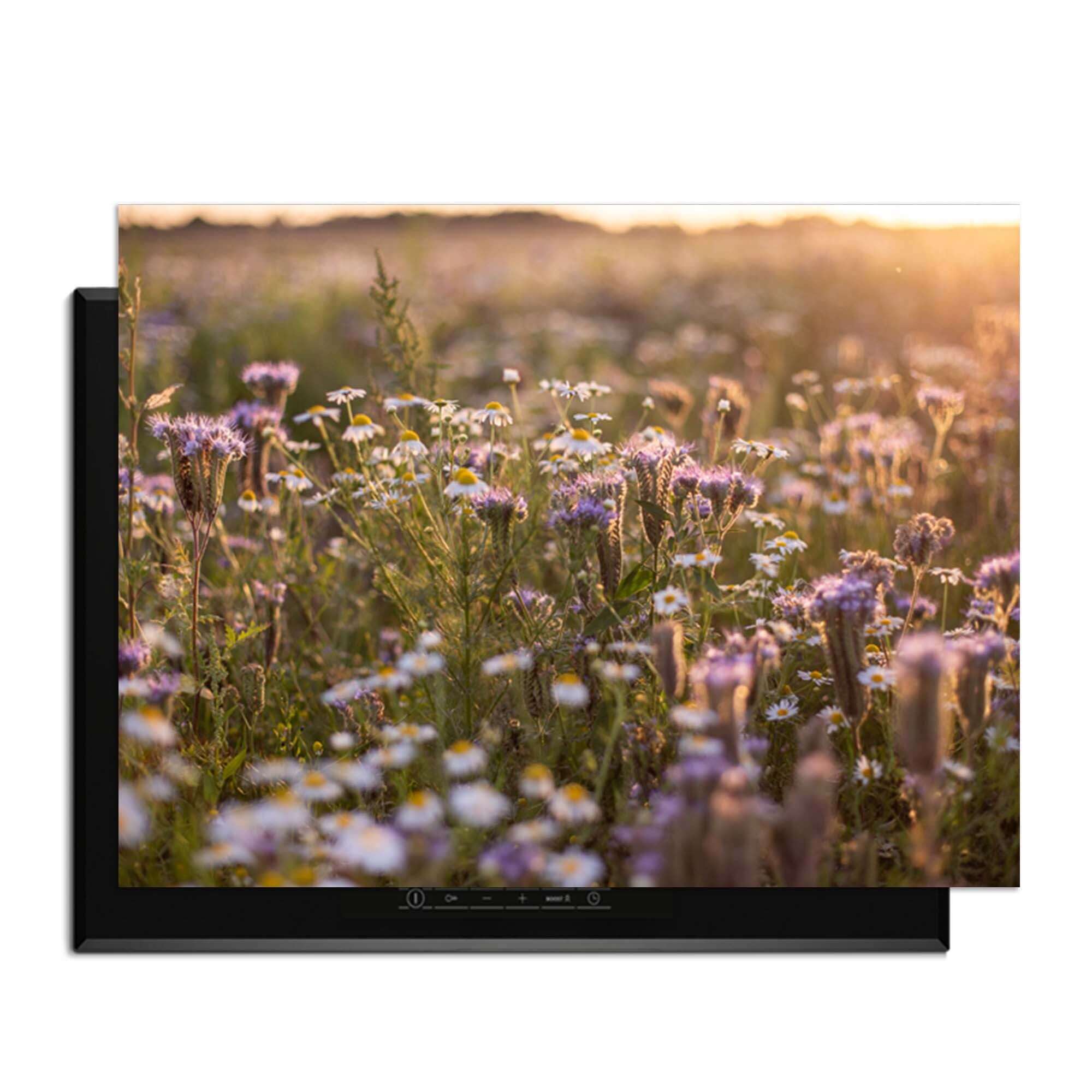 Evening Meadow - Herdabdeckplatte mit einer heiteren Blumenwiese in der Sonne, Schutz vor Kratzern und Verschüttungen.