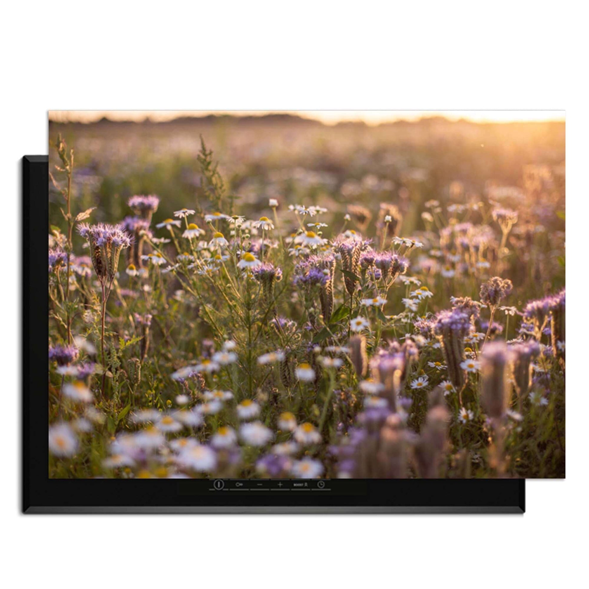Evening Meadow - Herdabdeckplatte mit einer ruhigen Blumenwiesenatmosphäre im Hintergrund.