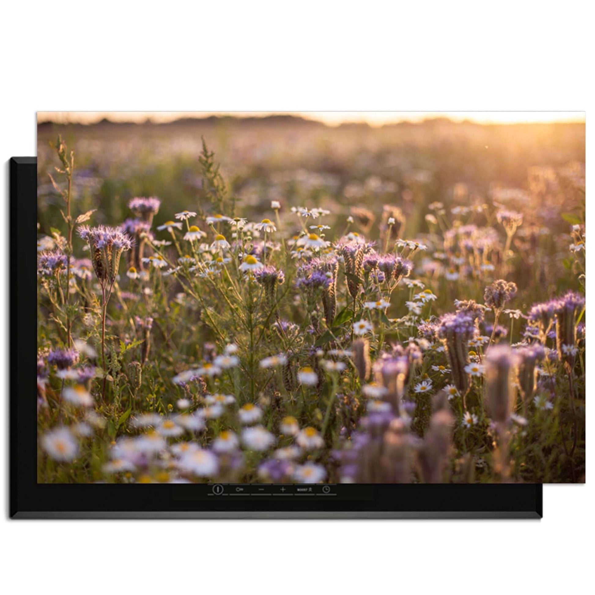 Evening Meadow - Herdabdeckplatte mit einem ruhigen Feld voller Blumen und sanftem Sonnenlicht.