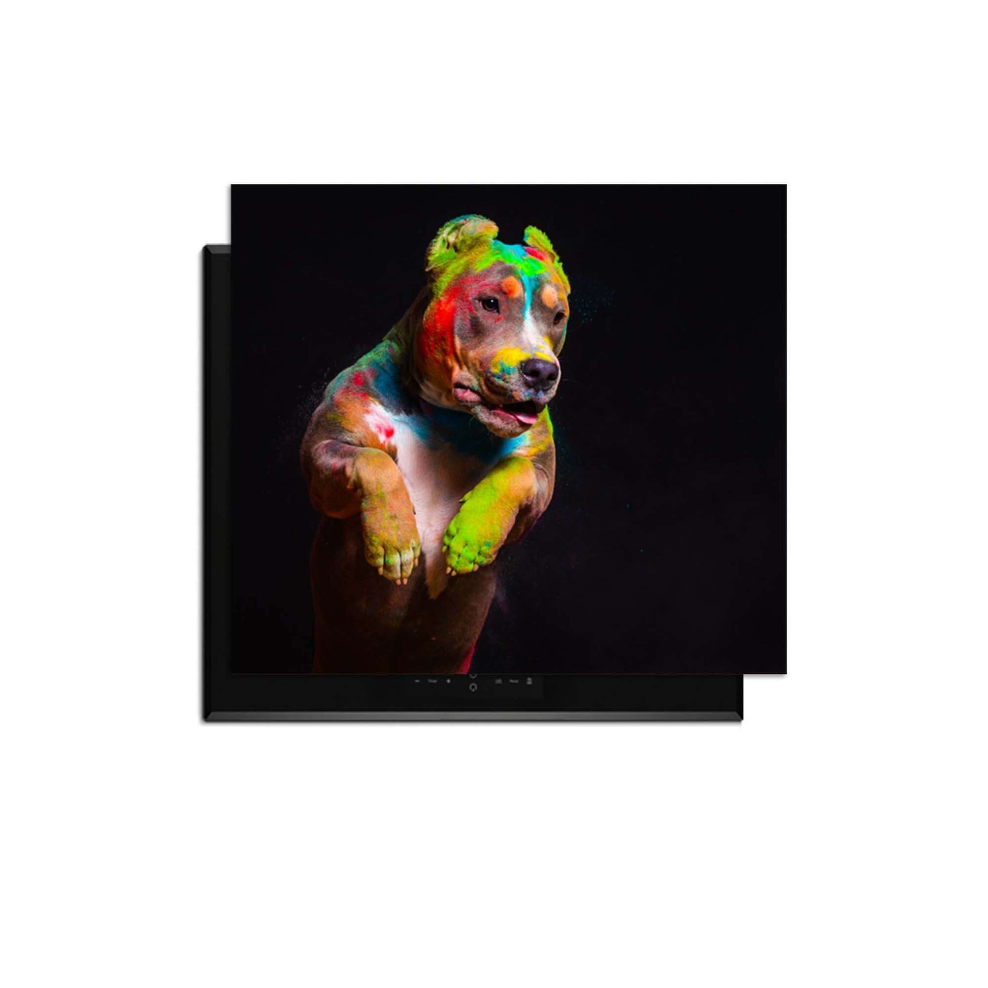 Paint Paws - Herdabdeckplatte mit bunt bemaltem Hund, idealer Schutz für Induktionskochfelder.