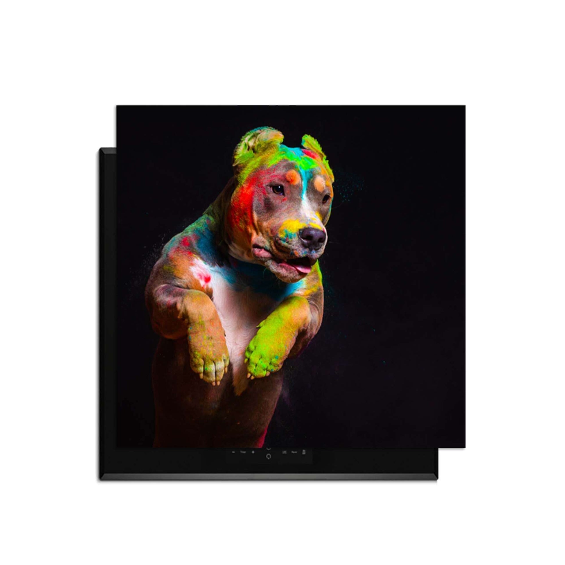 Paint Paws - Herdabdeckplatte mit farbenfrohem Hundemotiv auf Induktionskochfeld.