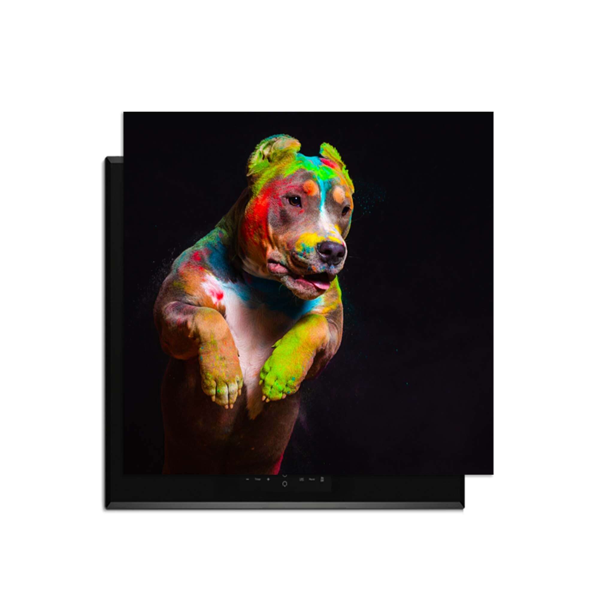 Paint Paws - Herdabdeckplatte mit farbenfrohem Hundemotiv auf Induktionskochfeld.