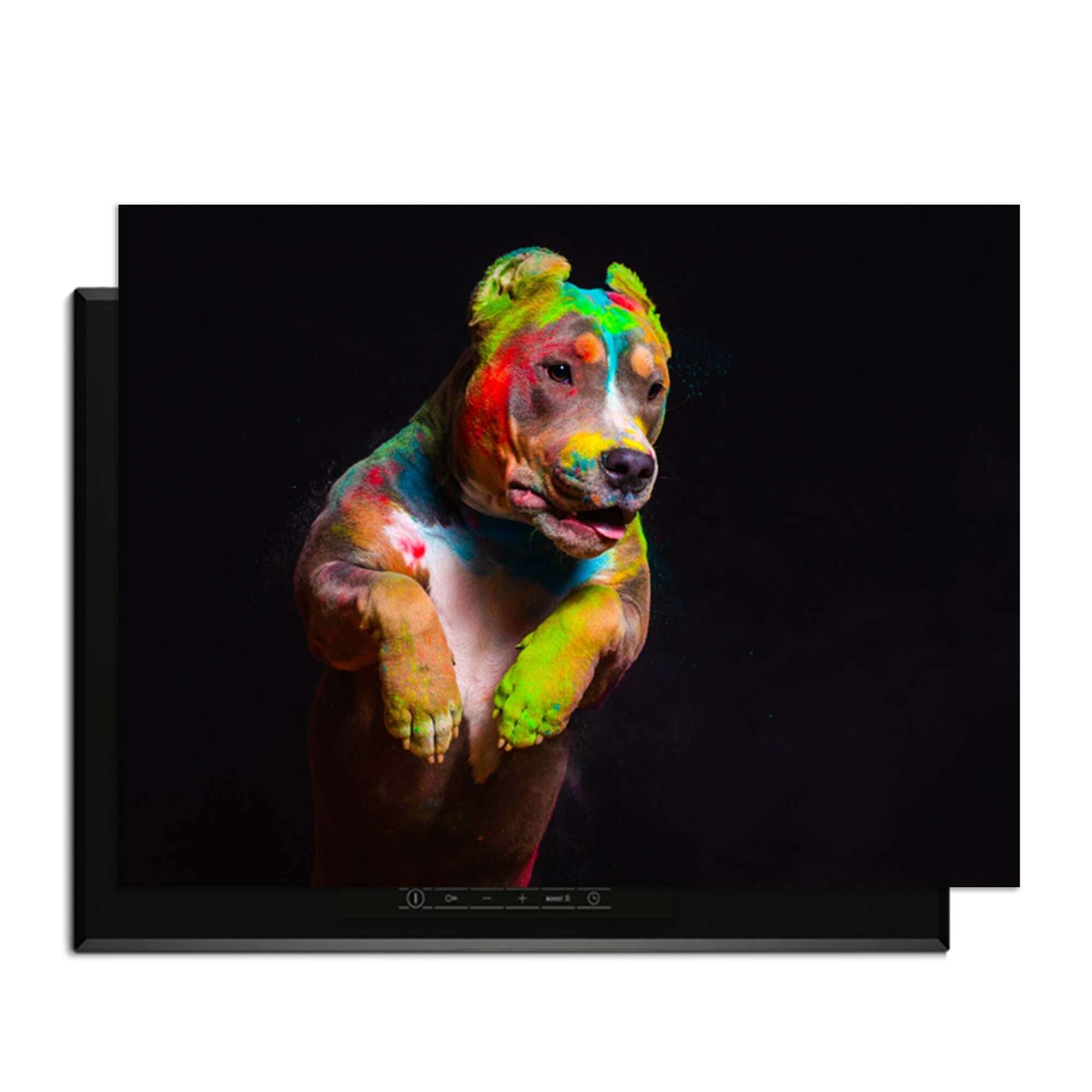 Paint Paws - Herdabdeckplatte mit buntem Hund auf Induktionskochfeld, schützt vor Kratzern und Flecken.