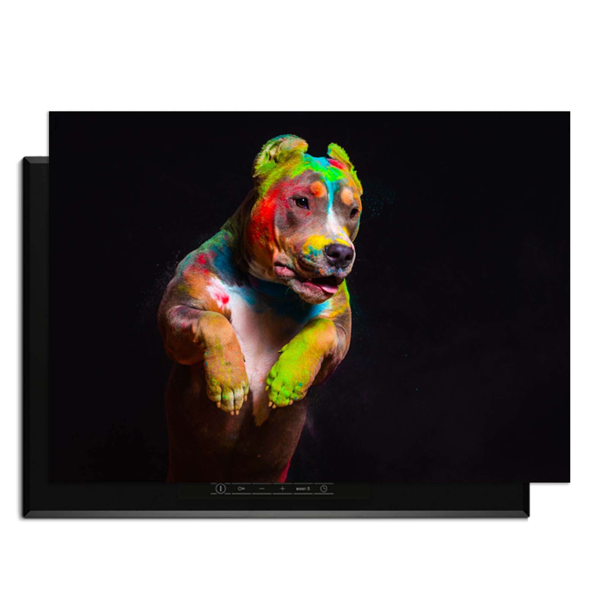 Paint Paws - Herdabdeckplatte mit bunt bemaltem Hund auf dem Kochfeld