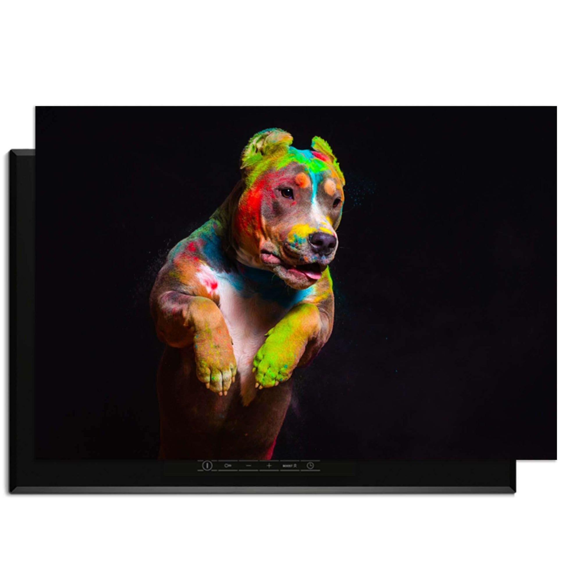 Colourful Paint Paws - Herdabdeckplatte mit einem lebhaft gemalten Hund auf einem Induktionskochfeld.