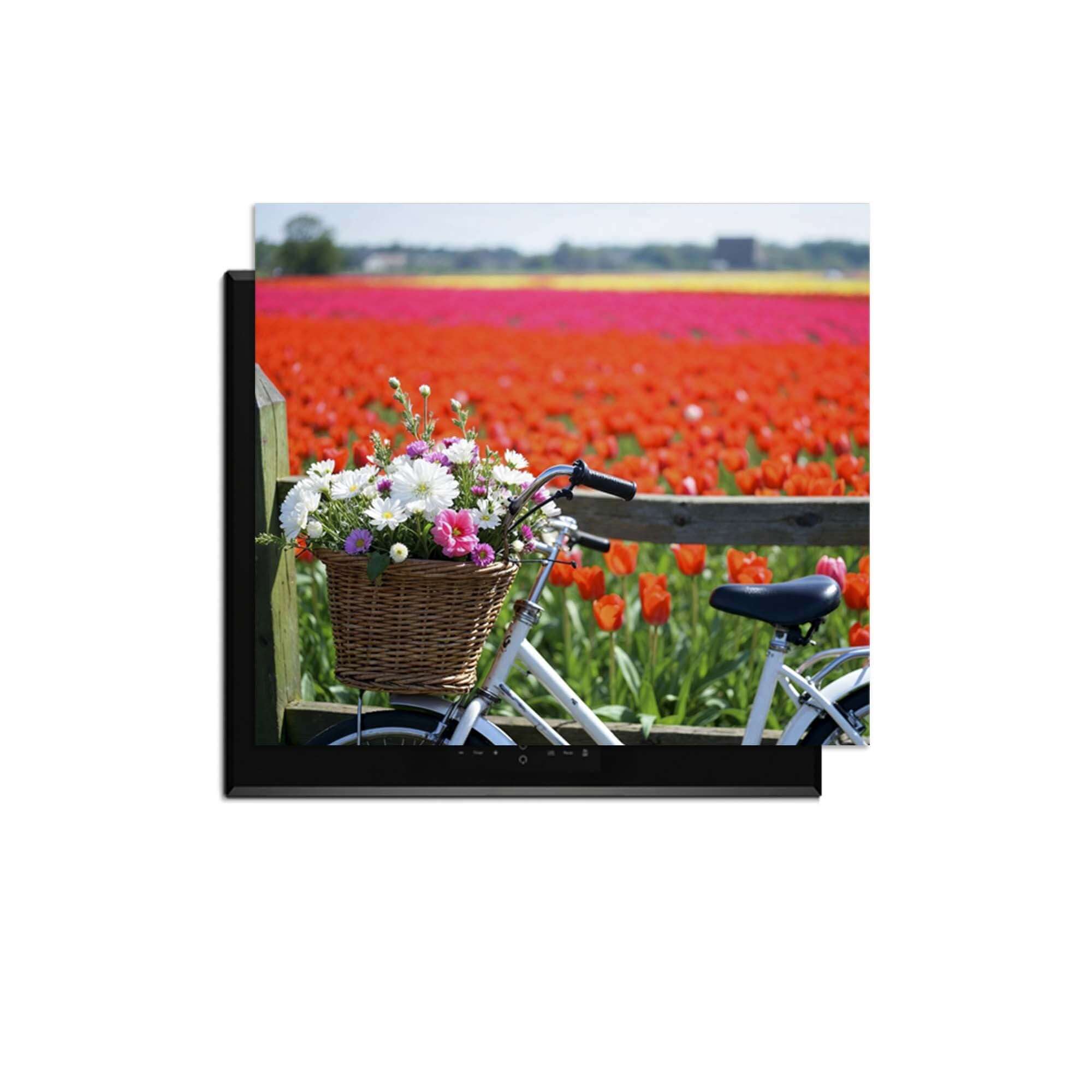 Frühlingsfahrrad mit Blumenkorb in einem bunten Tulpenfeld.