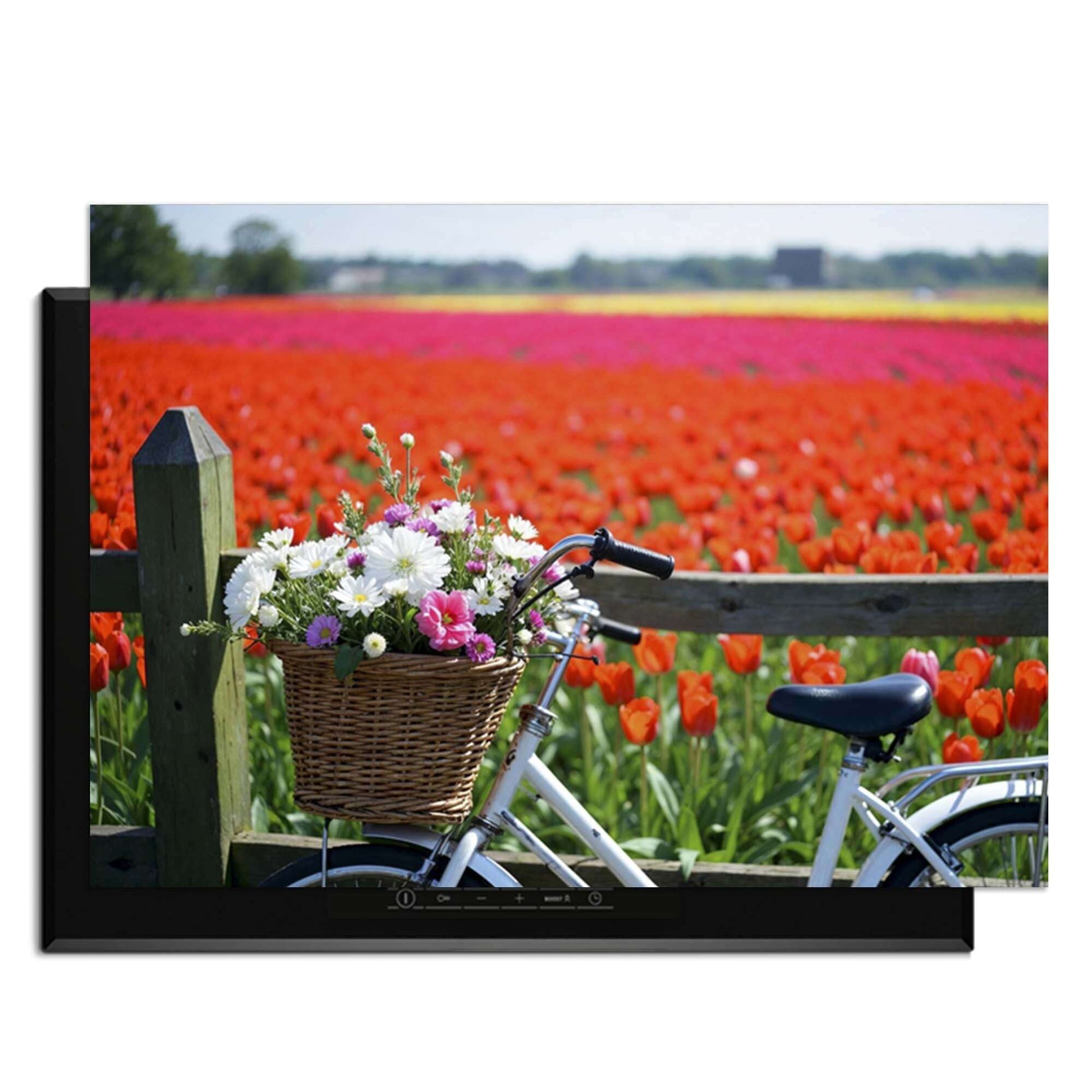 Spring Ride - Herdabdeckplatte mit Blumenfahrrad für bunte Tulpenfelder