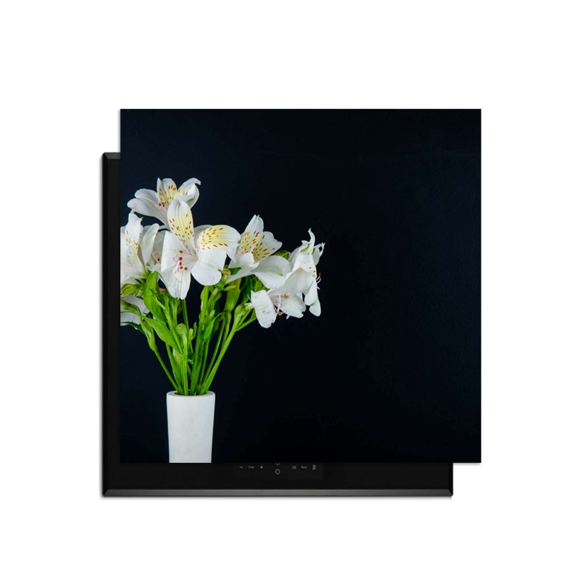 White Whisper - Induktionswächter mit weißen Blumen in einer Vase auf schwarzem Hintergrund.