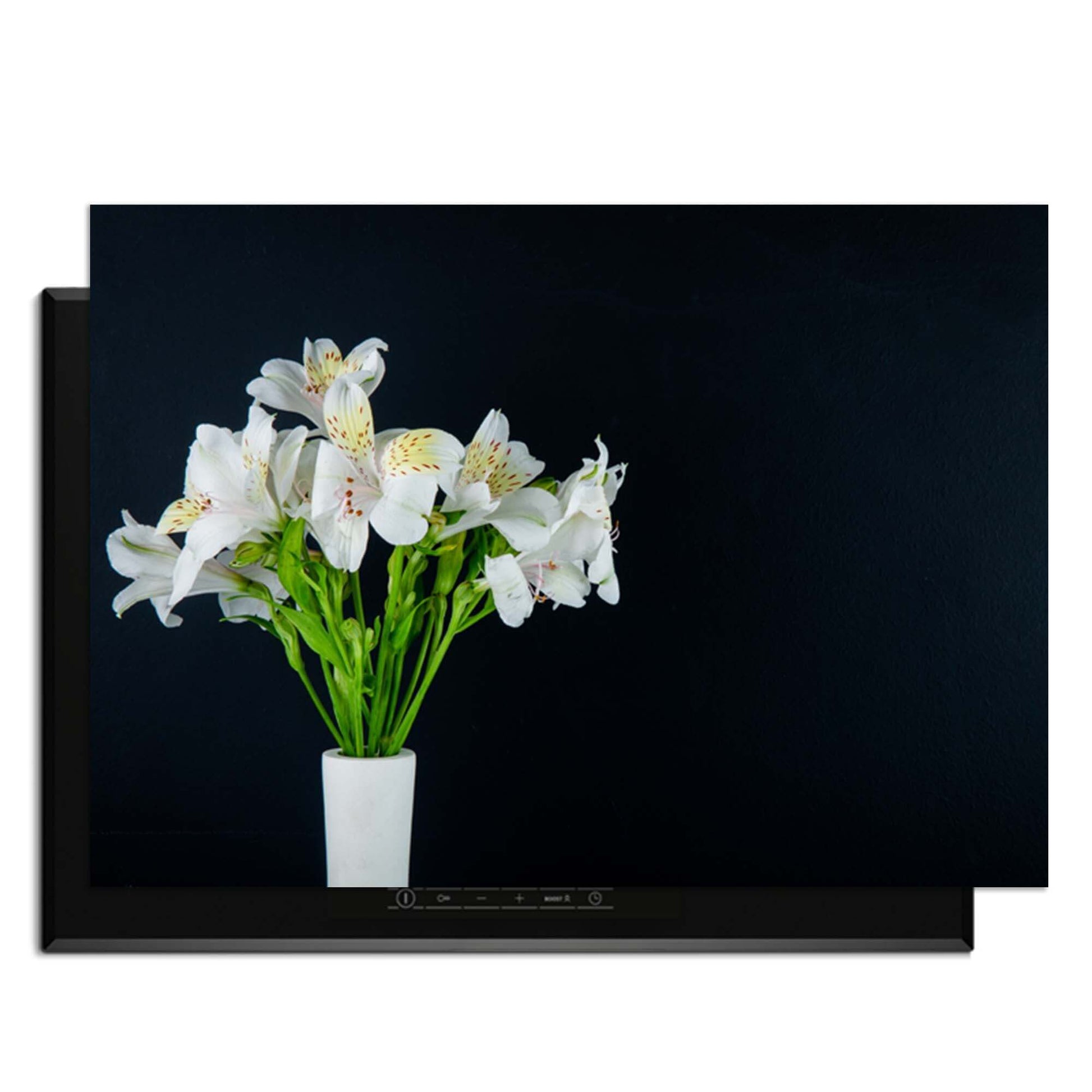 White Whisper - Induktionswächter mit hübschen weißen Blumen auf schwarzem Hintergrund.