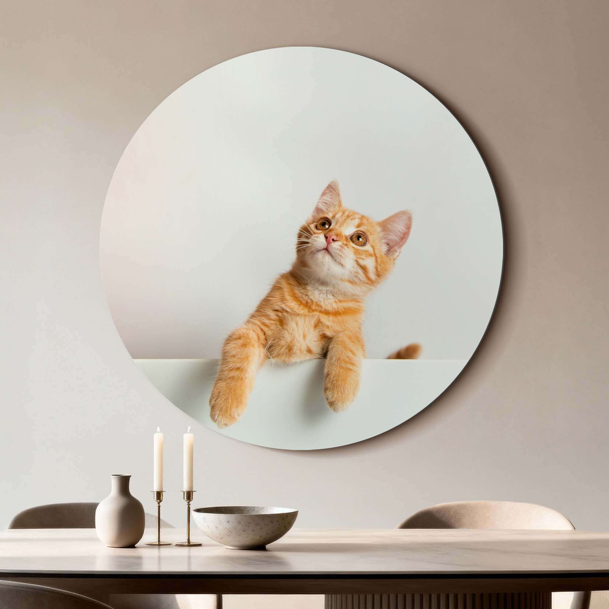 Amber Curiosity - Wandbild mit einer orangefarbenen Katze auf hochwertigem Aluminium-Dibond, perfekt für Ihre Einrichtung.