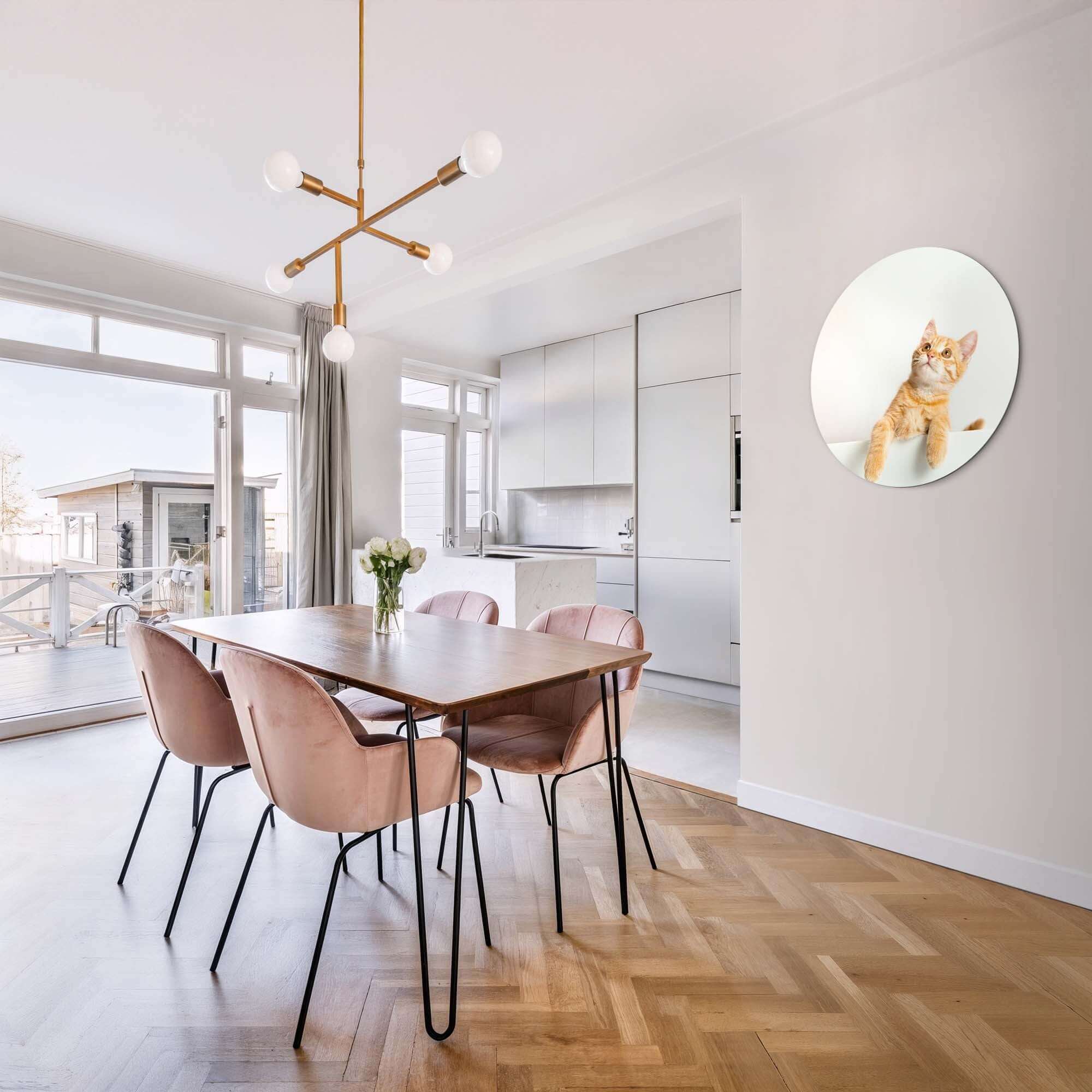 Amber Curiosity - Wandbild, lebendiges Design einer orangefarbenen Katze auf Aluminium-Dibond in einem modernen Esszimmer.