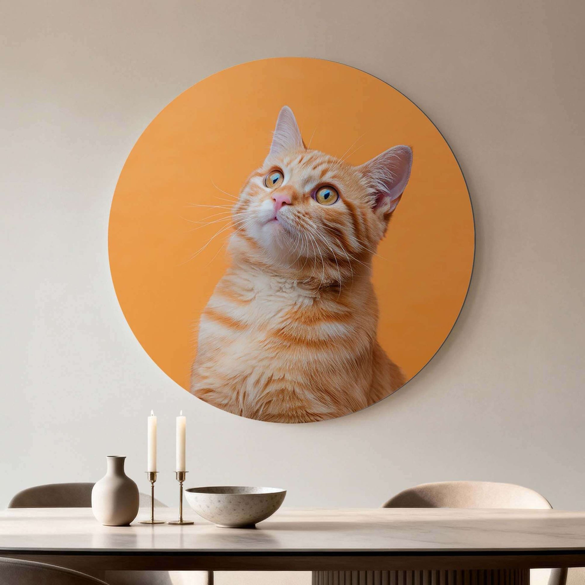 Amber Pop - Wandbild mit neugieriger junger Katze auf hochwertigem Aluminium-Dibond