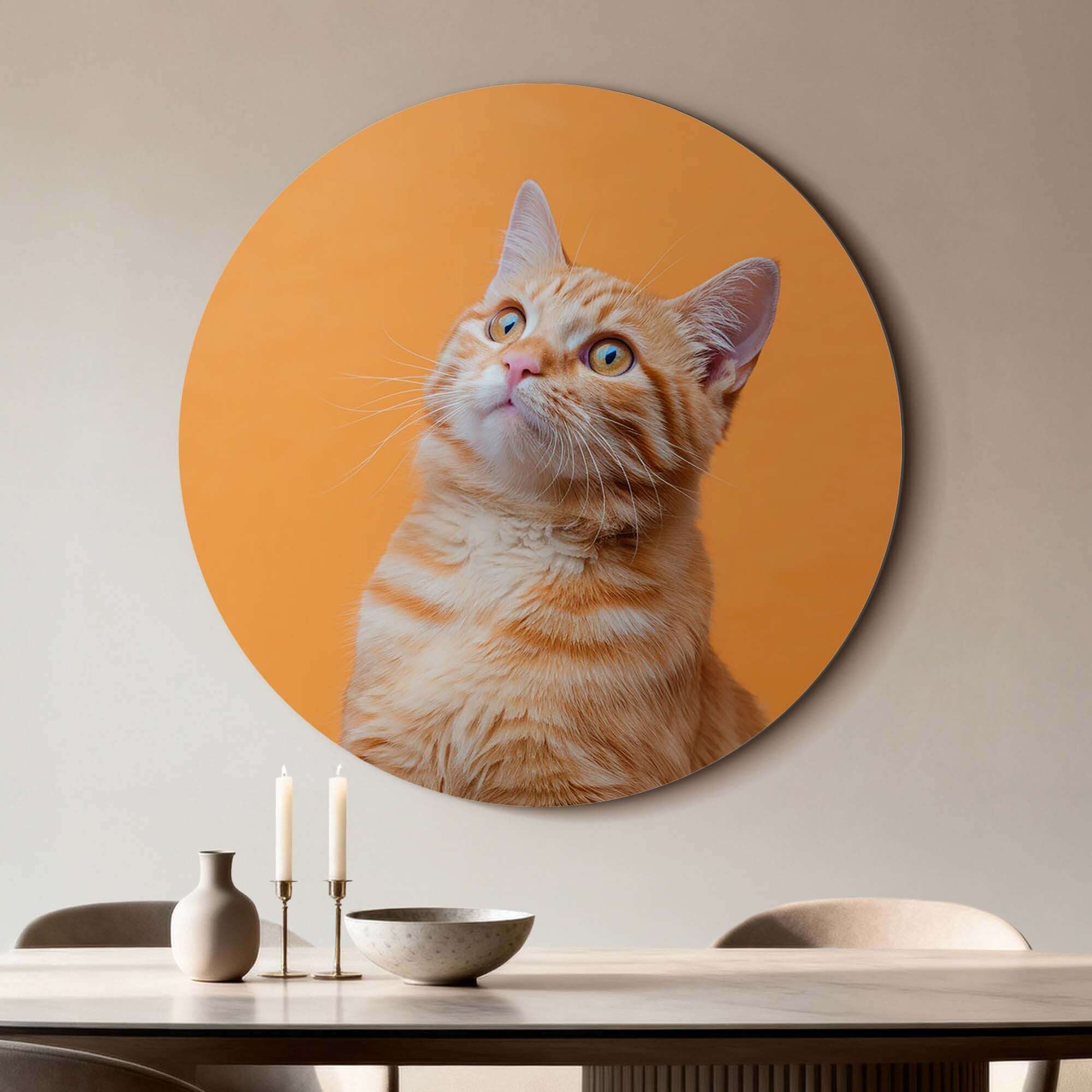 Amber Pop - Wandbild einer neugierigen Katze auf hochwertigem Aluminium, perfekt für die Wanddekoration.
