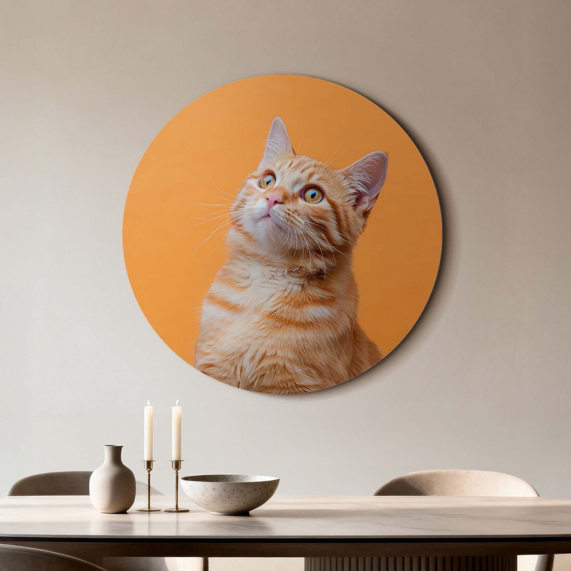 Amber Pop - Wandbild mit neugieriger Katze auf Arbeiten aus hochwertigem Aluminium-Dibond.