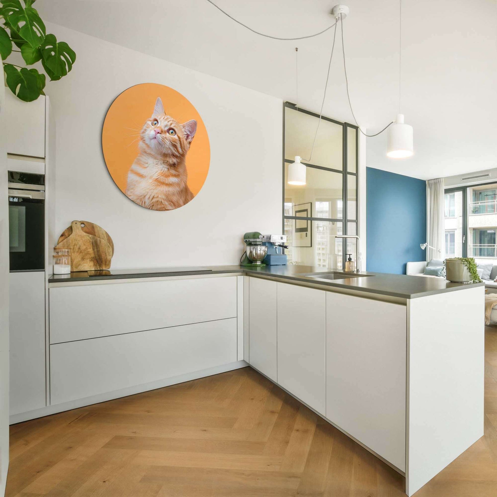 Amber Pop - Wandbild in einer modernen Küche mit einer neugierigen Katze auf dem Wandbild.