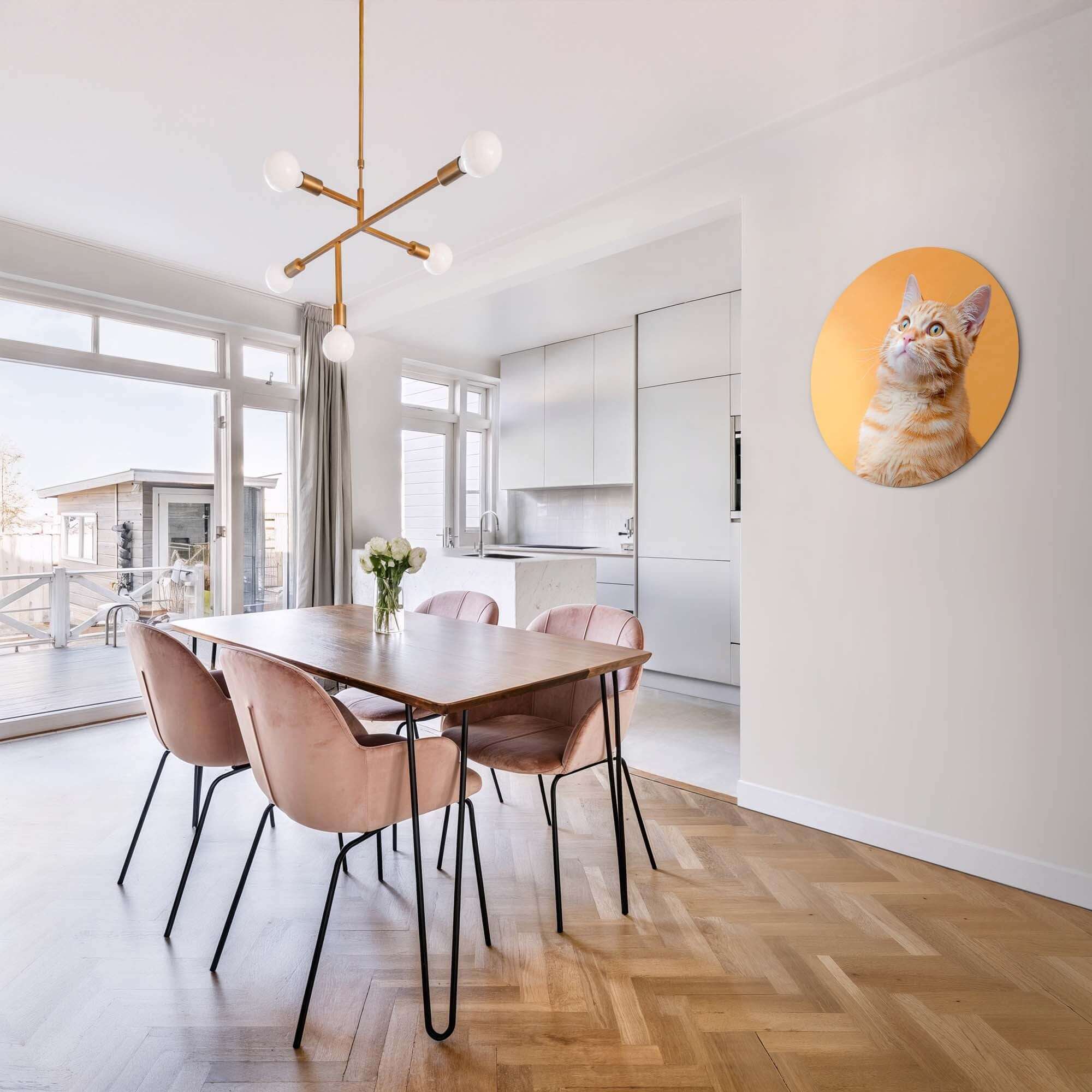 Amber Pop - Wandbild in einem modernen Esszimmer mit einer neugierigen Katze auf hochwertigem Aluminium-Dibond.