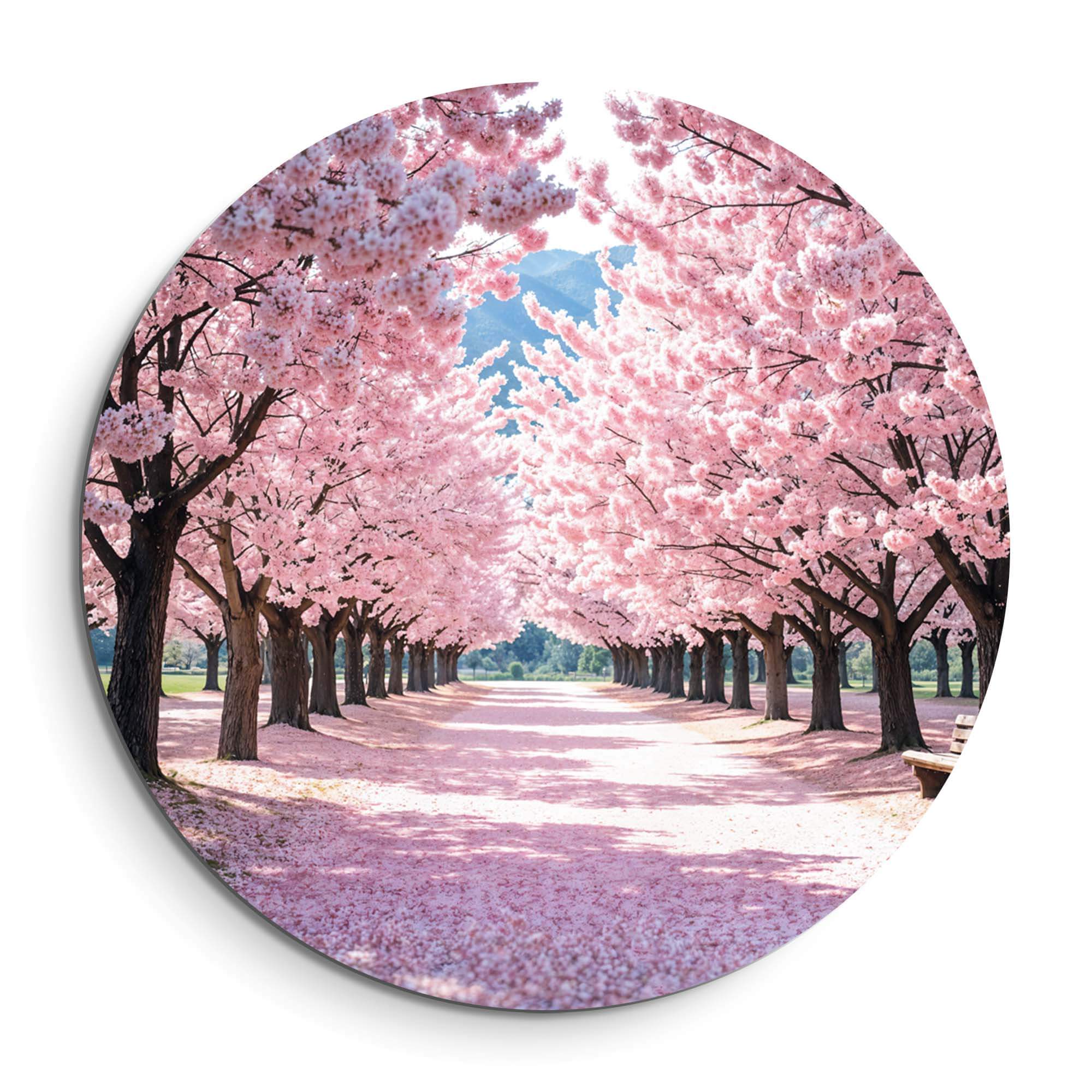 Blossom Avenue - Wandbild mit rosa Blütenbäumen, ideal als Wanddekoration in Küche, Esszimmer oder Flur. Die perfekte Wahl für einen Wandbild.