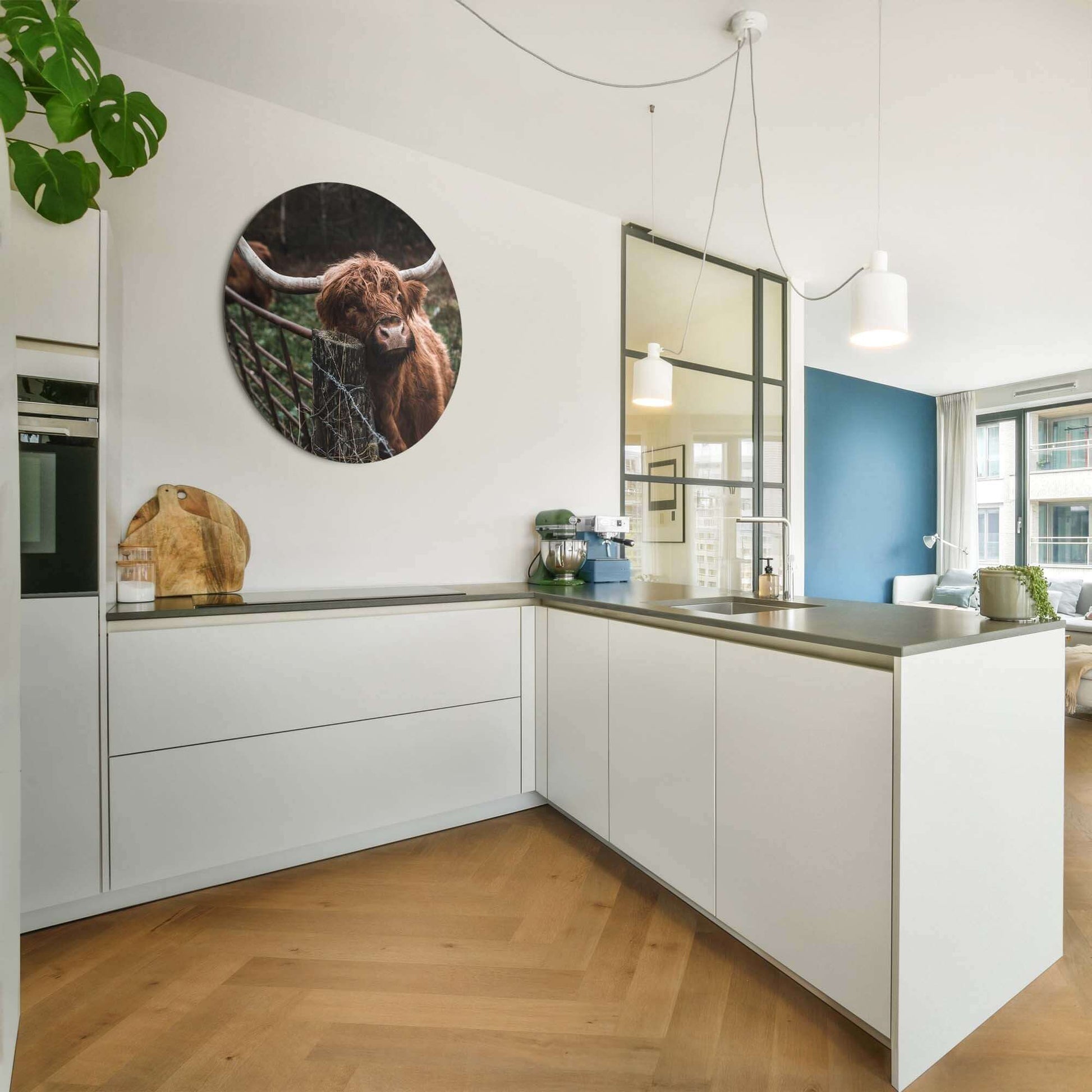 Schottischer Highlander am Zaun - Wandbild, stimmungsvoller Wandbild aus Aluminium-Dibond, perfekt für Küche oder Wohnzimmer.
