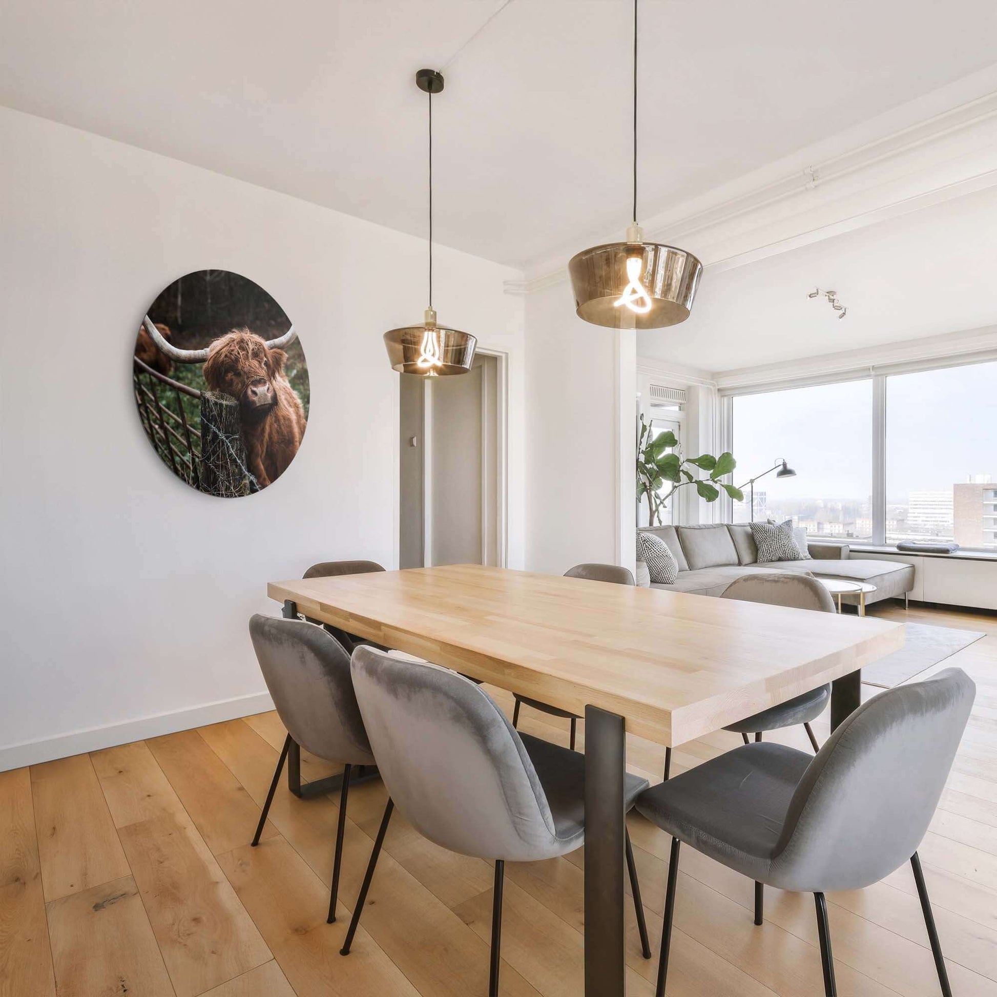 Schottischer Highlander am Zaun - Wandbild an der Esszimmerwand, stimmungsvolle Wanddekoration mit natürlichem Look, aus Aluminium-Dibond.