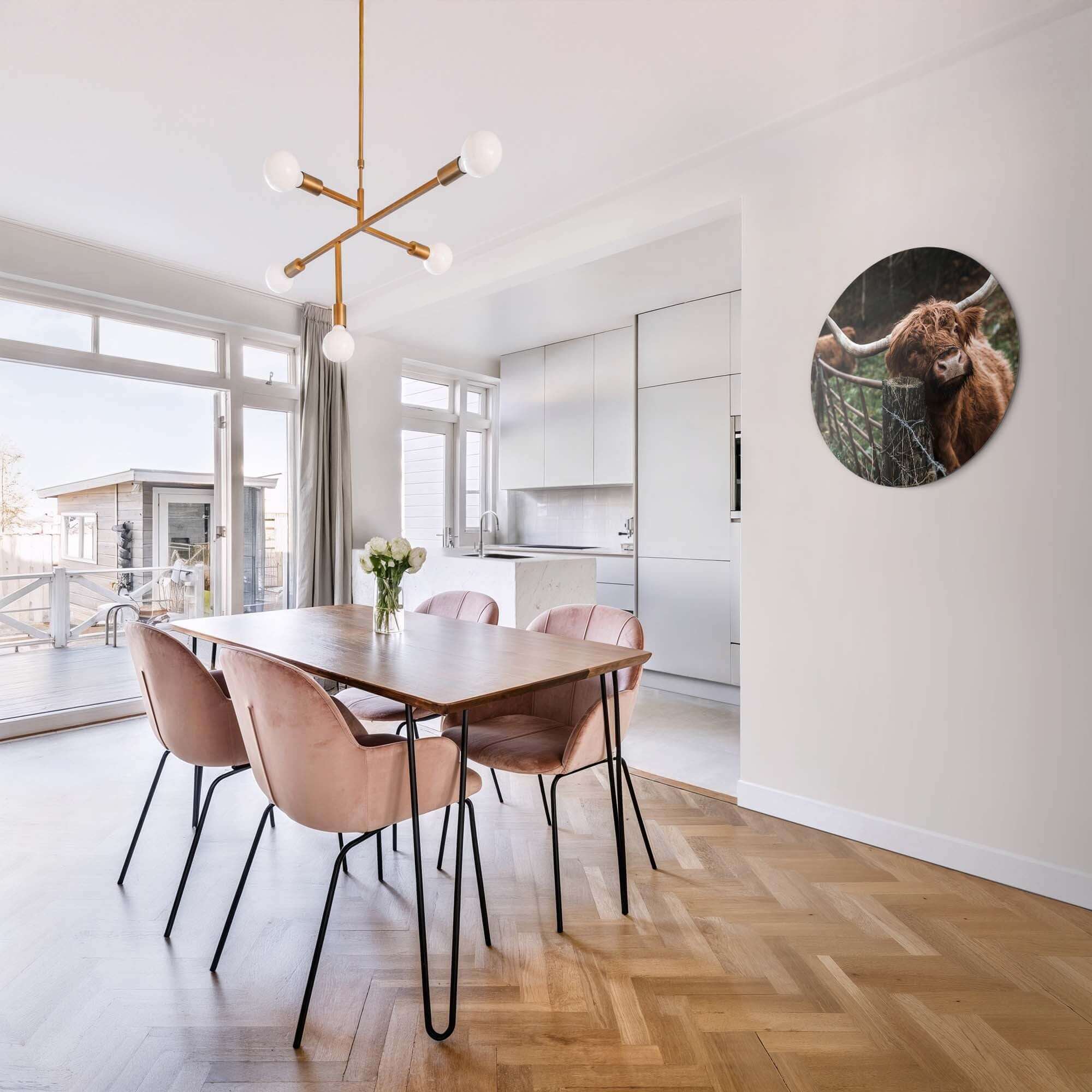 Schottischer Highlander am Zaun - Wandbild im modernen Esszimmer, stimmungsvoller Wandbild auf Aluminium-Dibond für einen natürlichen Look.