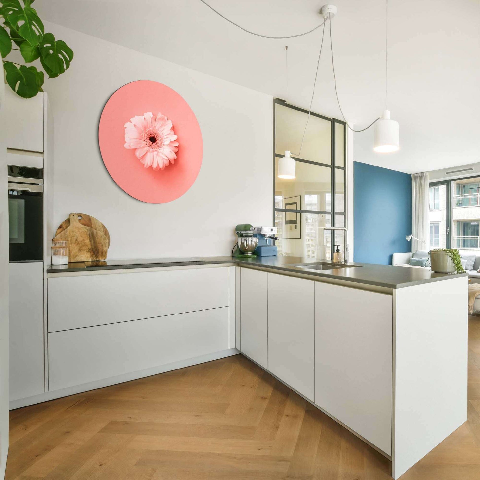 Coral Gerbera - Wandbild auf rosa Hintergrund in moderner Küche, perfekte Wanddekoration für Innenräume.
