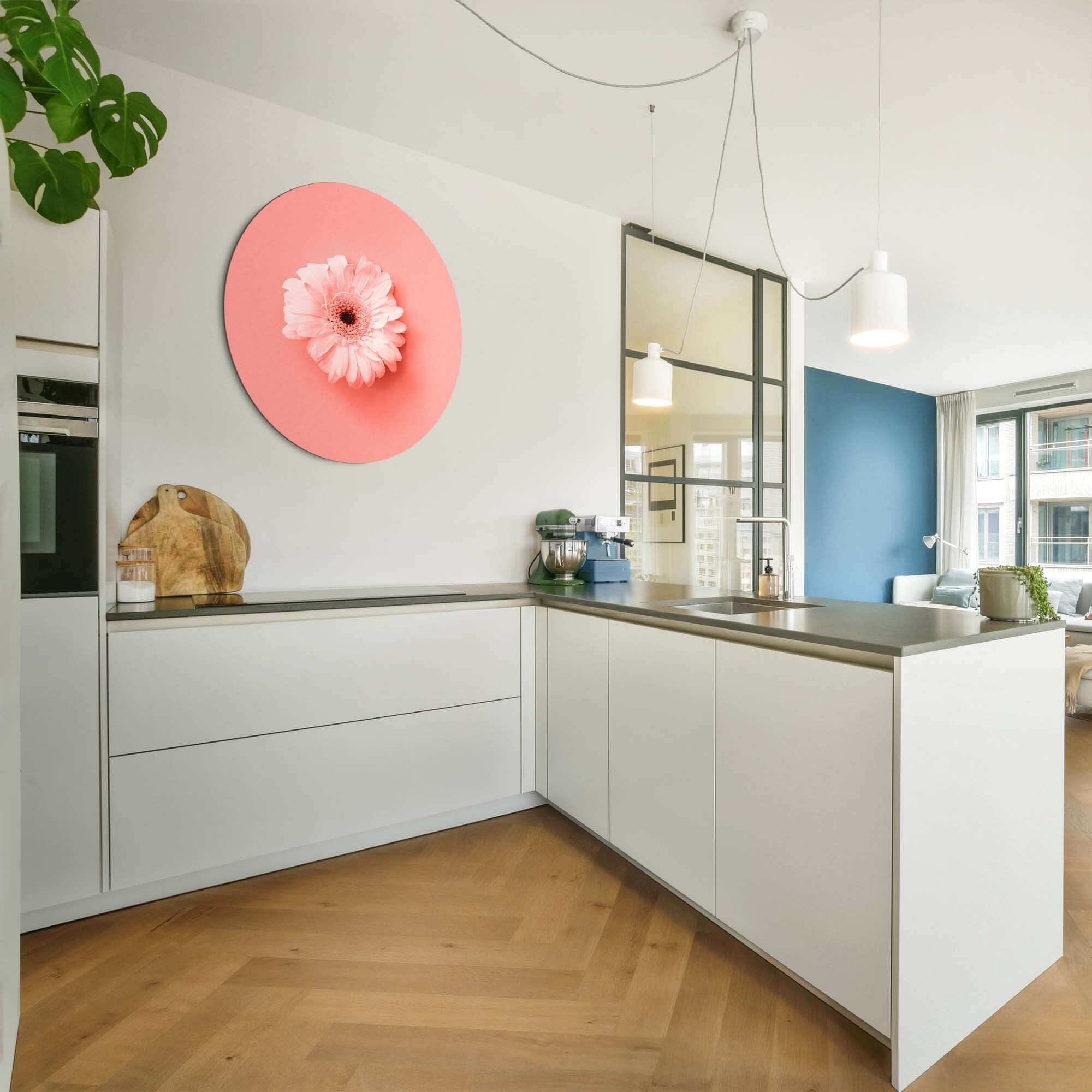 Coral Gerbera - Wandbild auf rosa Hintergrund in moderner Küche, perfekte Wanddekoration für Innenräume.