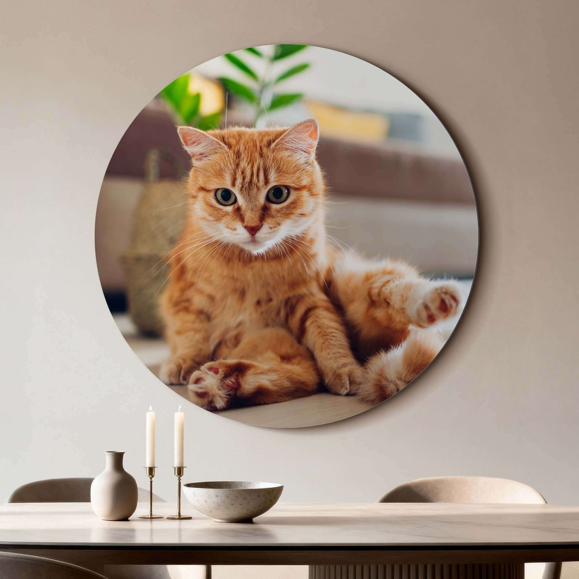 Cozy Charm - Wandbild einer entspannten Katze auf hochwertigem Aluminium-Dibond für stimmungsvolle Innenräume.