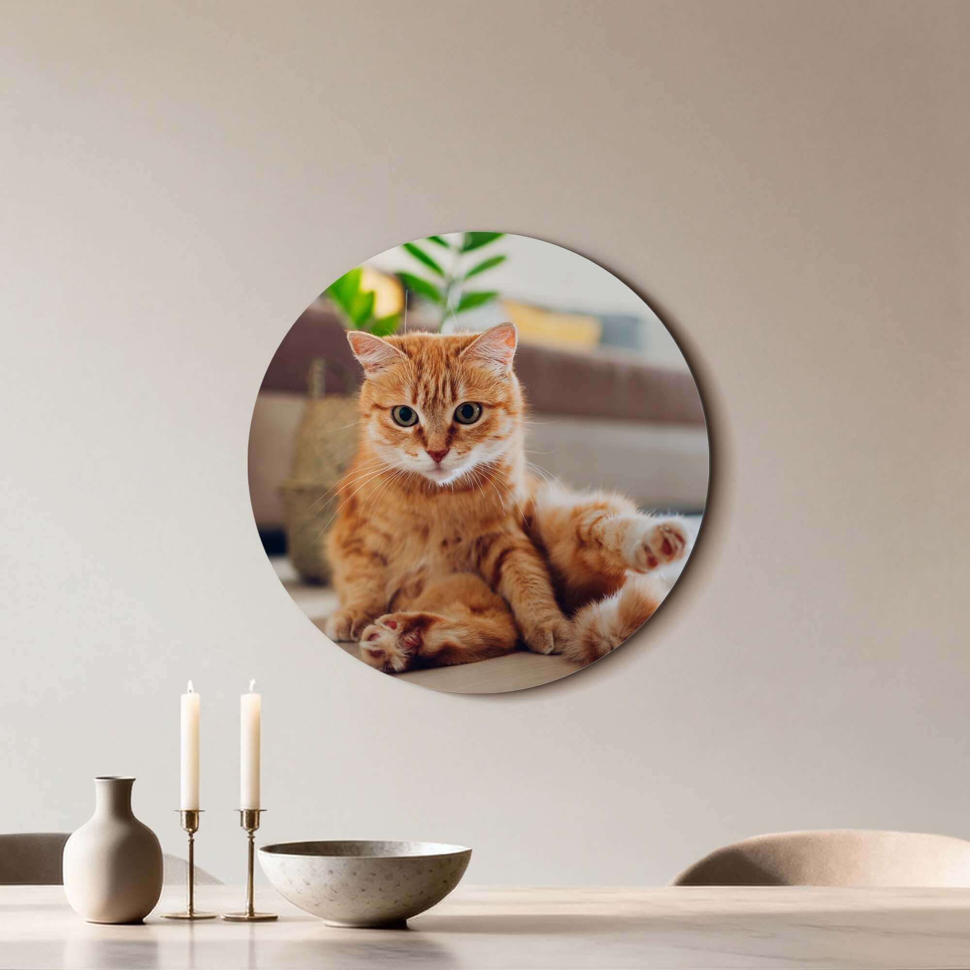 Cozy Charm - Wandbild mit dem Bild einer entspannten Katze, perfekt für die Innendekoration.
