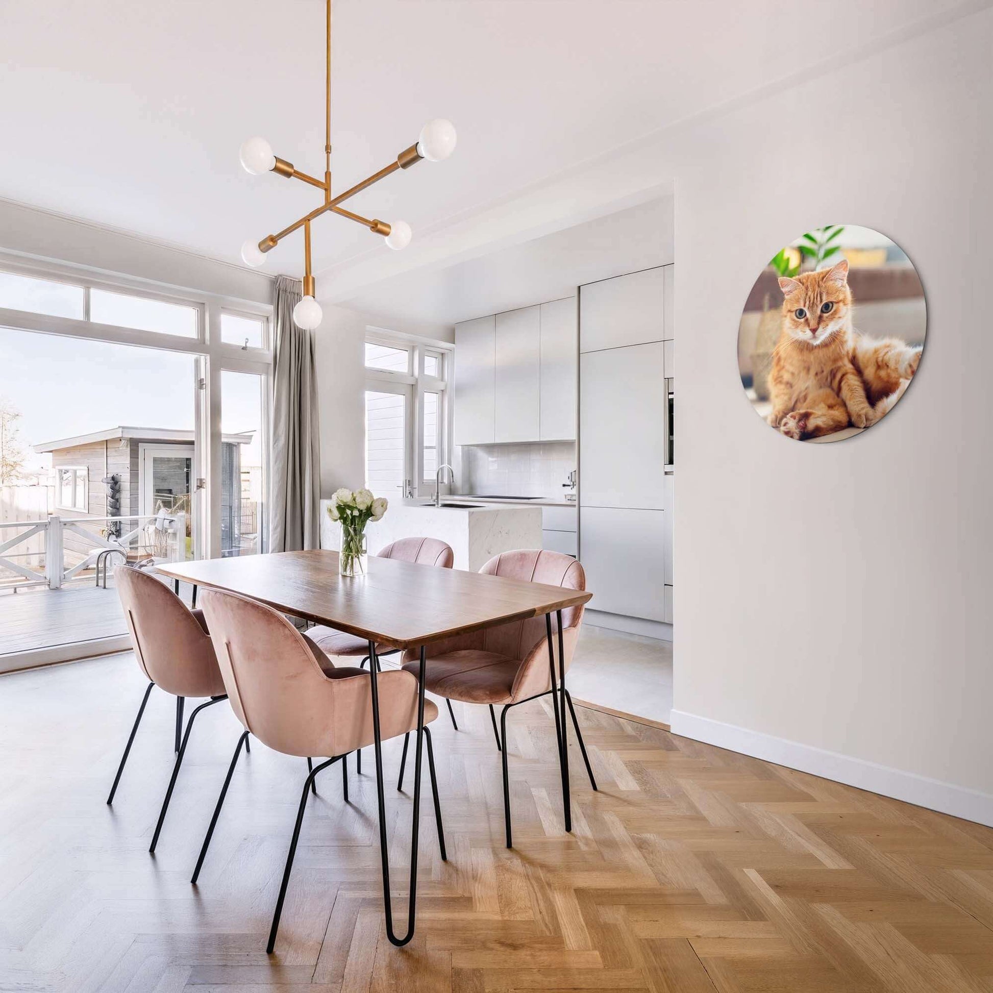 Cozy Charm - Wandbild auf Aluminium-Dibond in einem modernen Esszimmer mit einer warmen Katze.
