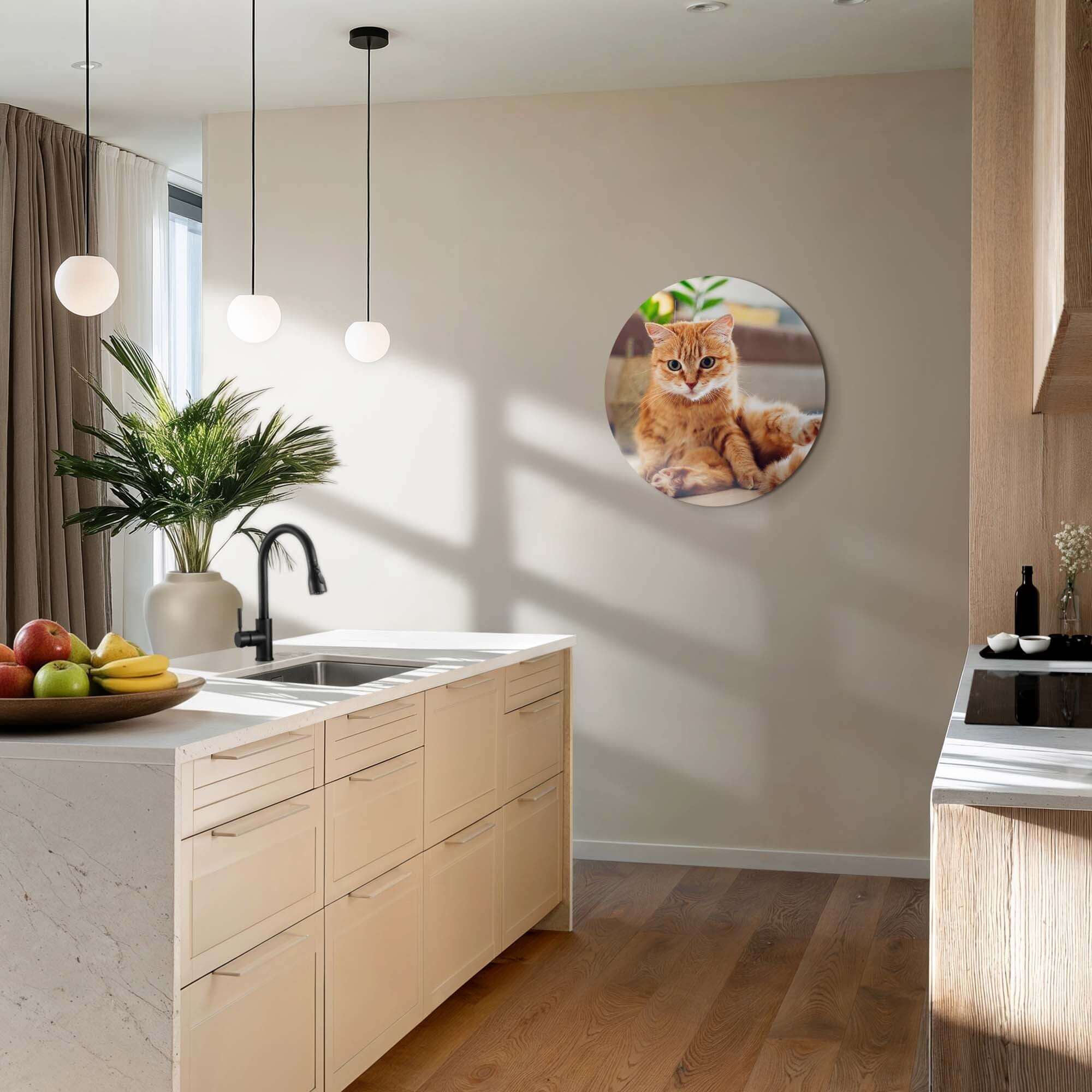 Cozy Charm - Wandbild mit einer entspannten Katze in einer modernen Küche. Perfekt für Atmosphäre und Gemütlichkeit.