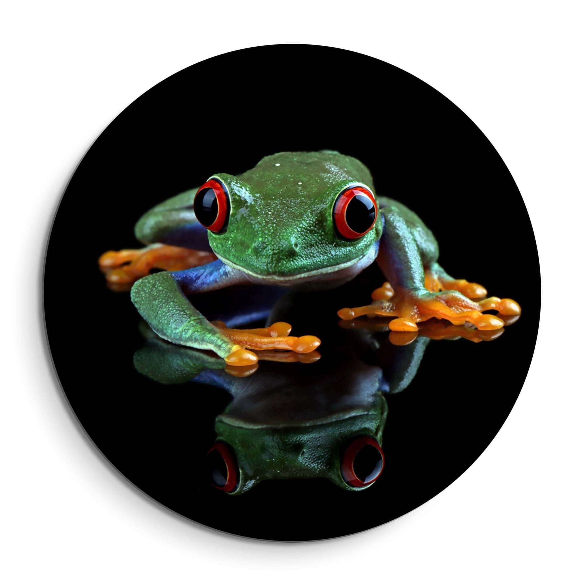 Crimson Eyes - Wandbild mit einem grünen Frosch und leuchtend roten Augen auf einem spiegelnden, dunklen Hintergrund.