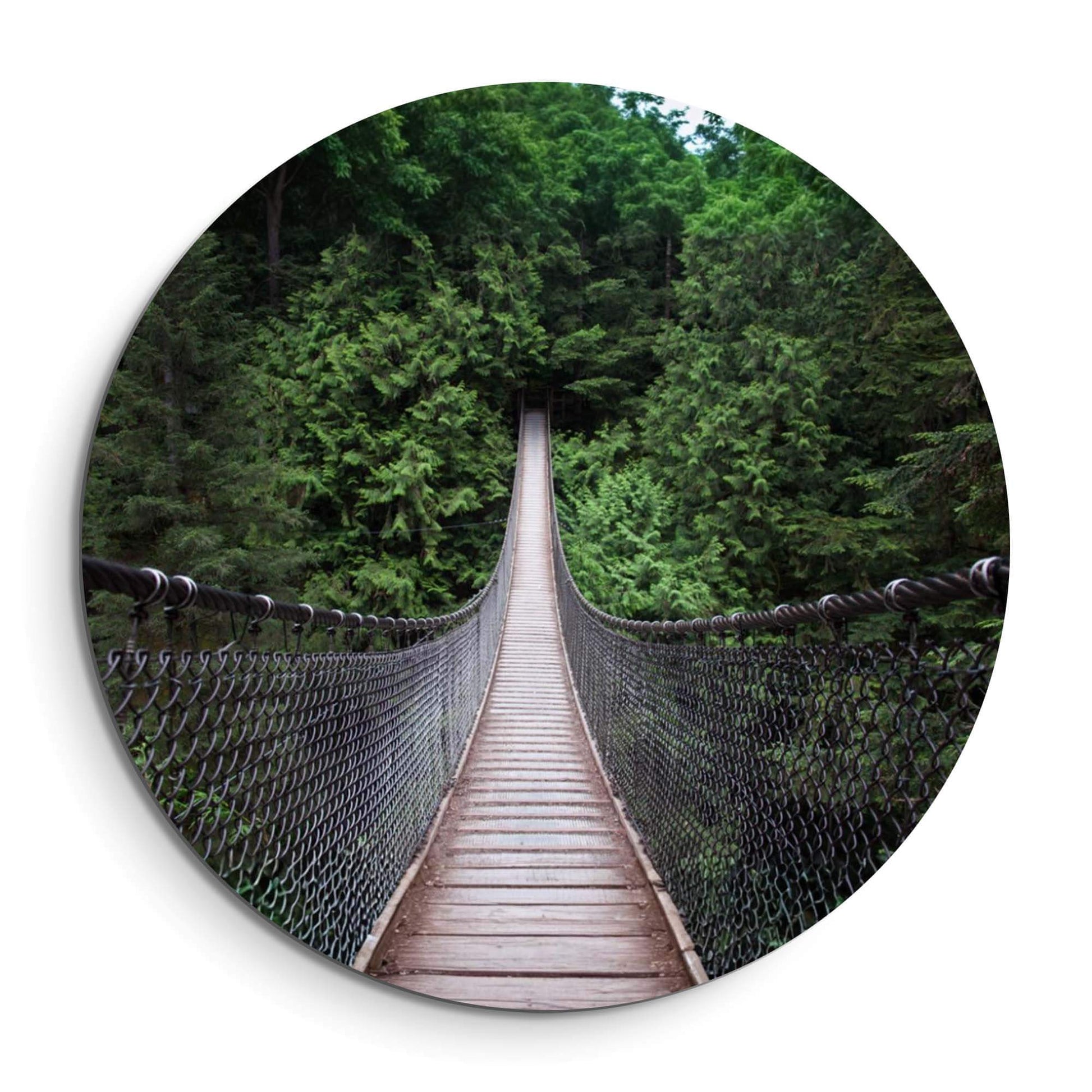 Forest Crossing - Wandbild einer hölzernen Hängebrücke im grünen Wald, ein abenteuerlicher Wandbild.