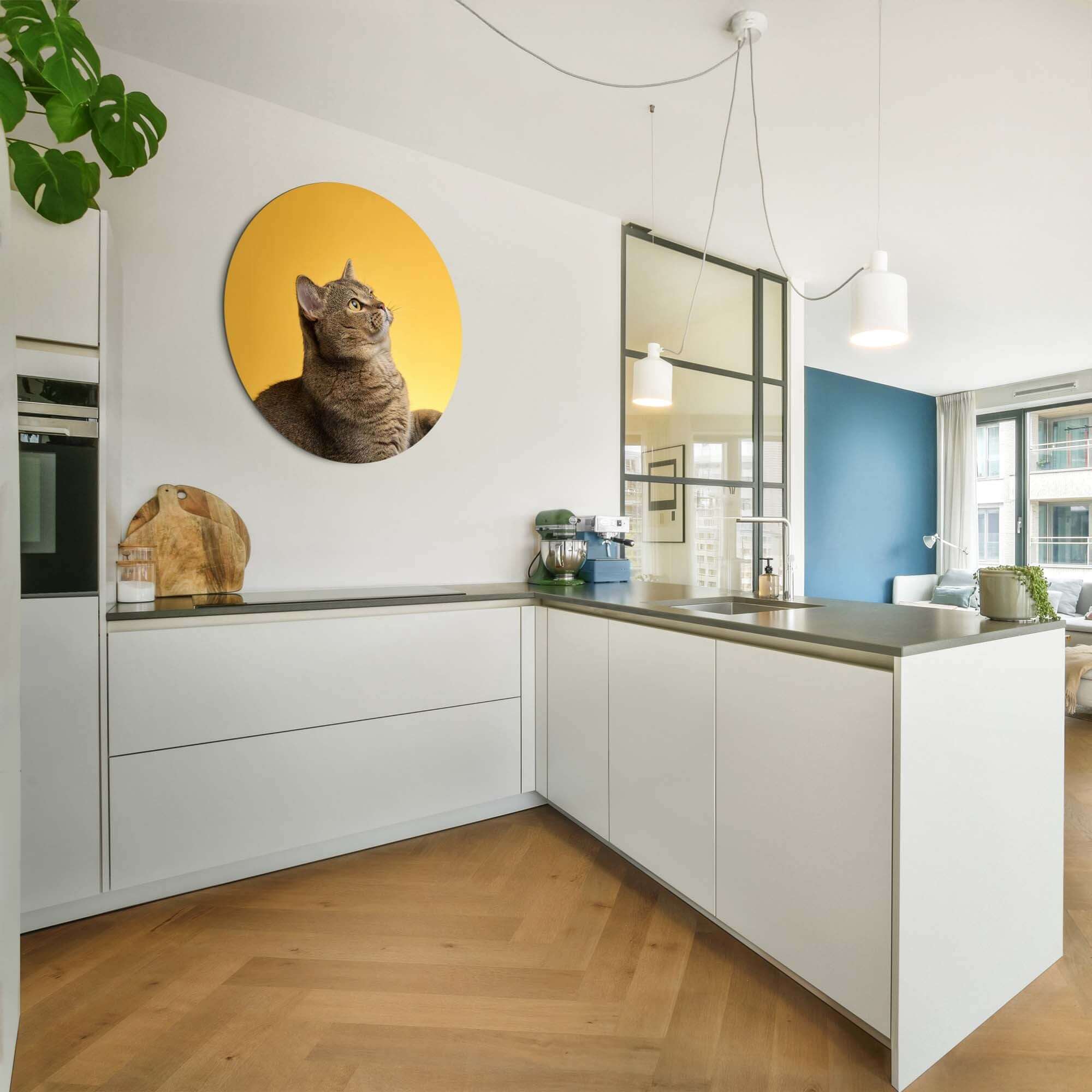 Golden Stretch - Wandbild in einer modernen Küche mit einer Katze auf goldenem Hintergrund.