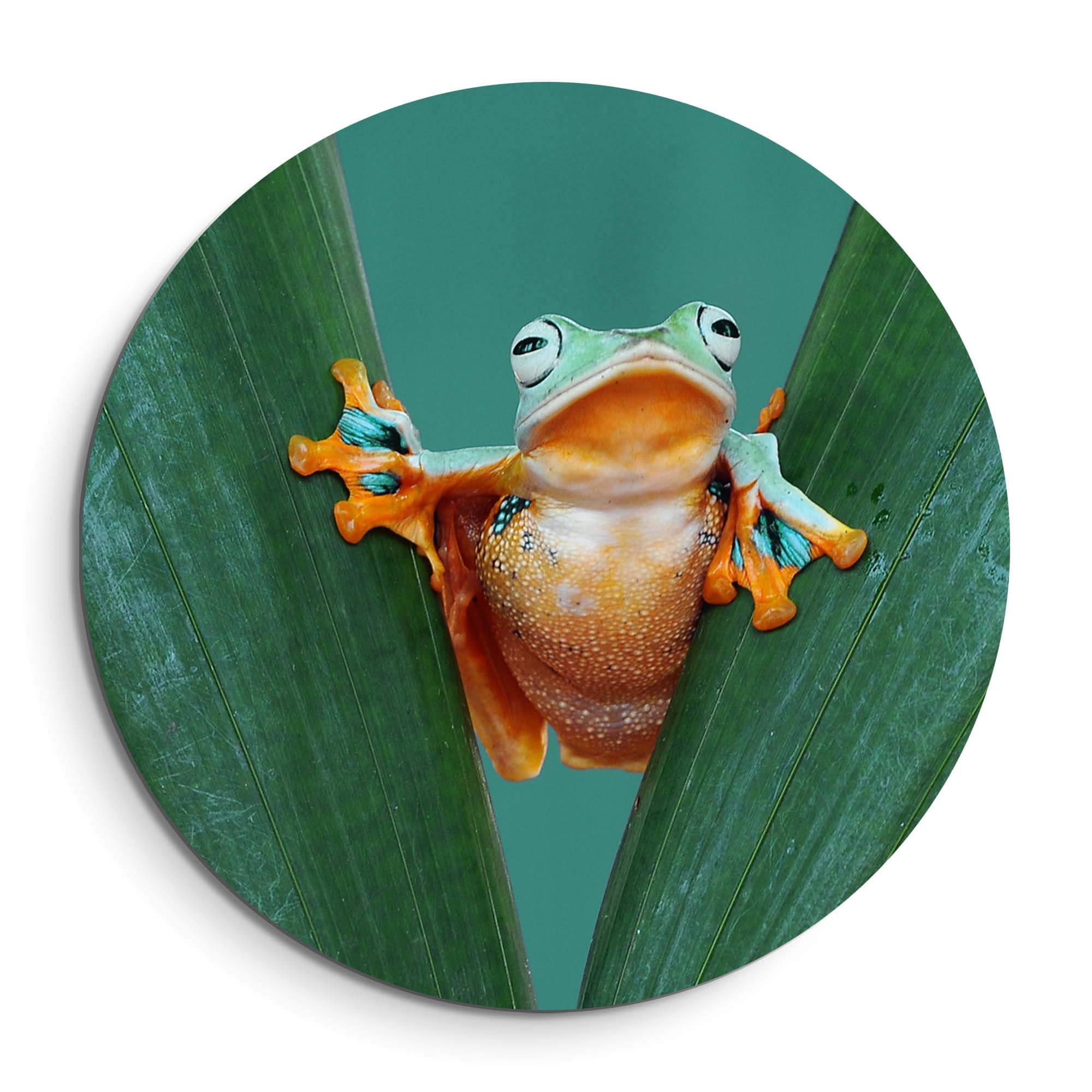Jungle Leap - Wandbild mit einem farbenfrohen Frosch zwischen frischen Blättern für eine farbenfrohe Innendekoration.