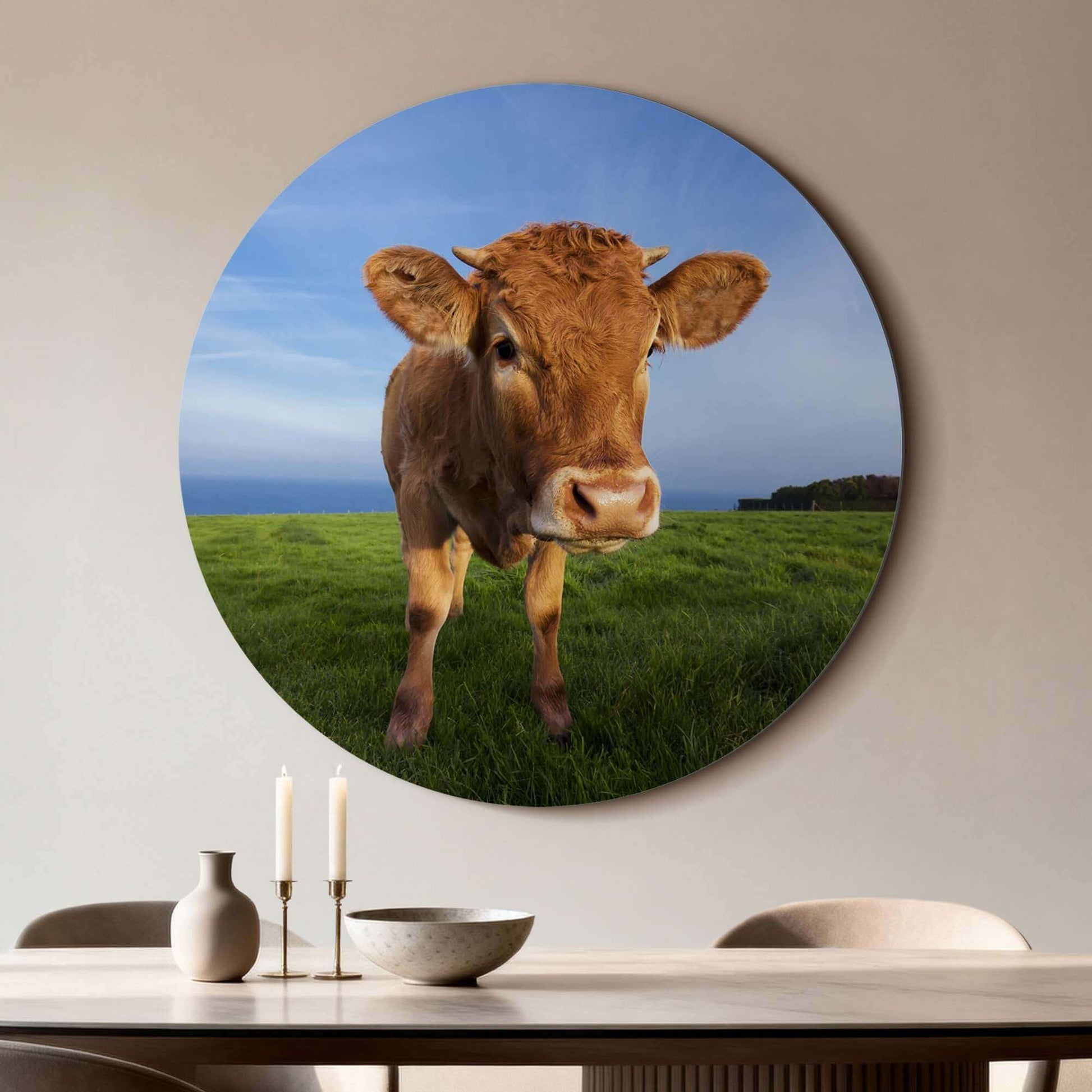 Kalb auf der Weide - Wandbild aus hochwertigem Aluminium-Dibond mit neugierigem Kalb auf der Weide, geeignet als dekorativer Wandbild.