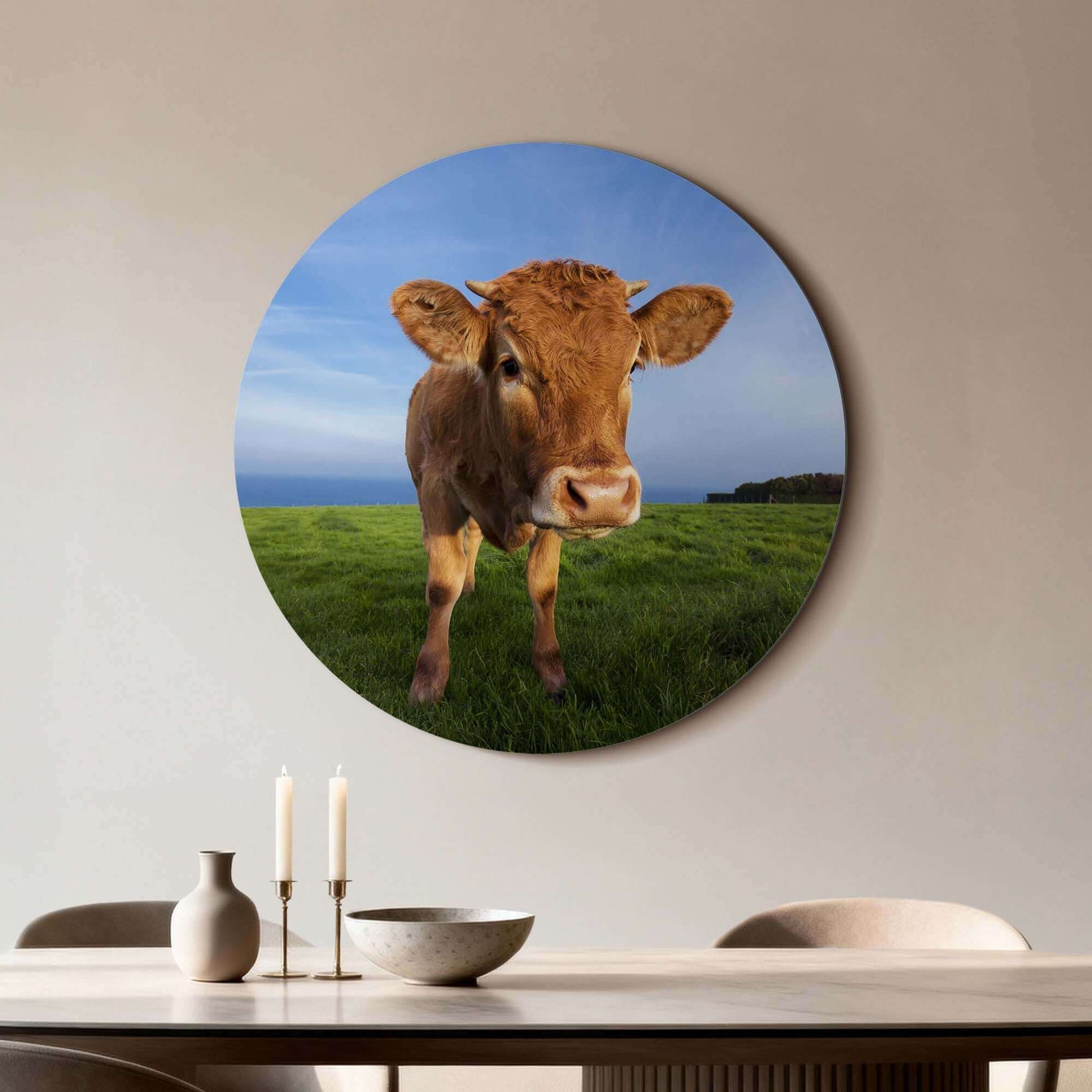 Kalb auf der Wiese - Wandbild, Wandbild aus hochwertigem Aluminium-Dibond mit einem neugierigen Kalb, die ideale Ergänzung für Ihre Einrichtung.