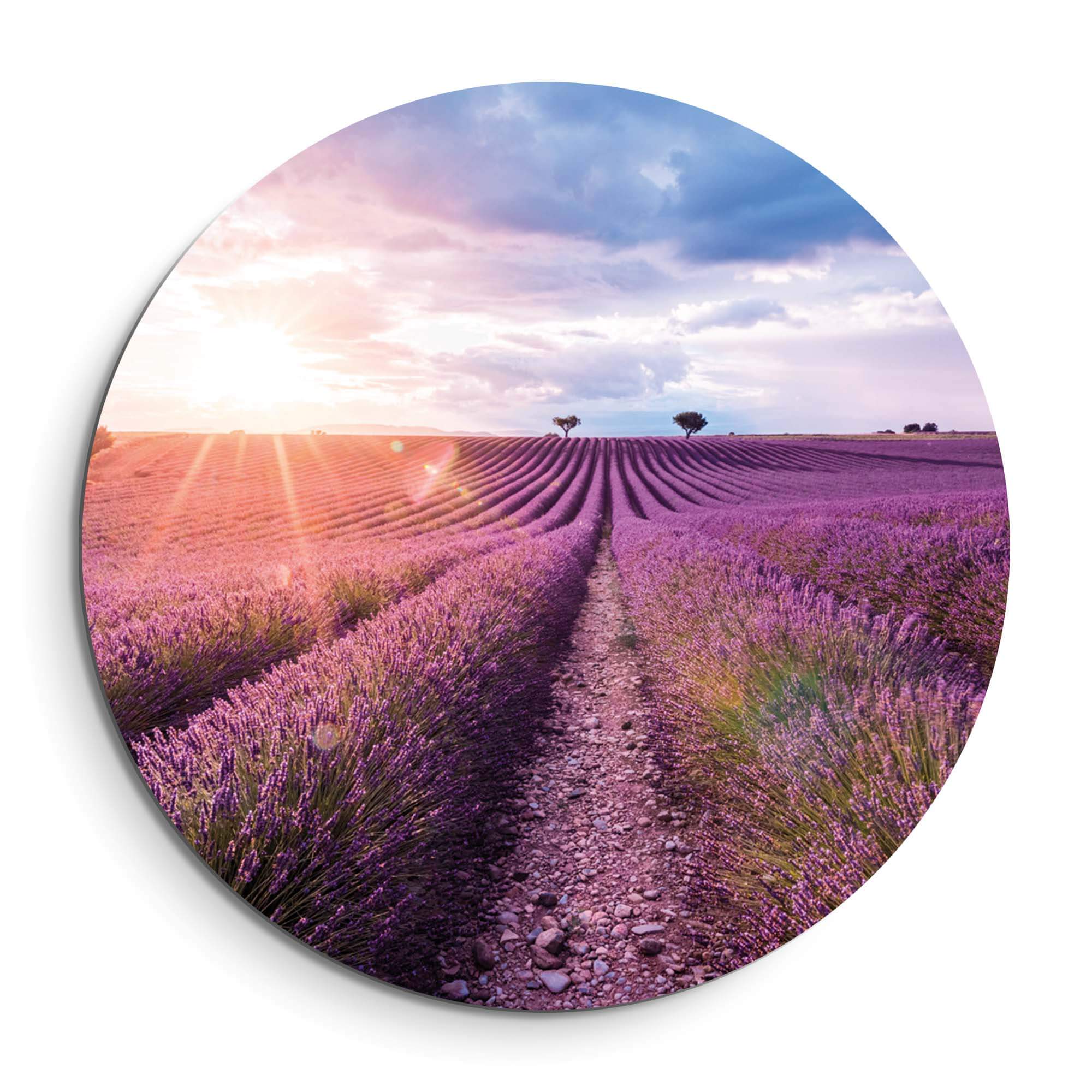 Lavender Horizon - Wandbild: Bezaubernder Wandbild mit Lavendelfeldern und Abendlicht. Perfekter Wandbild für Küche oder Esszimmer.