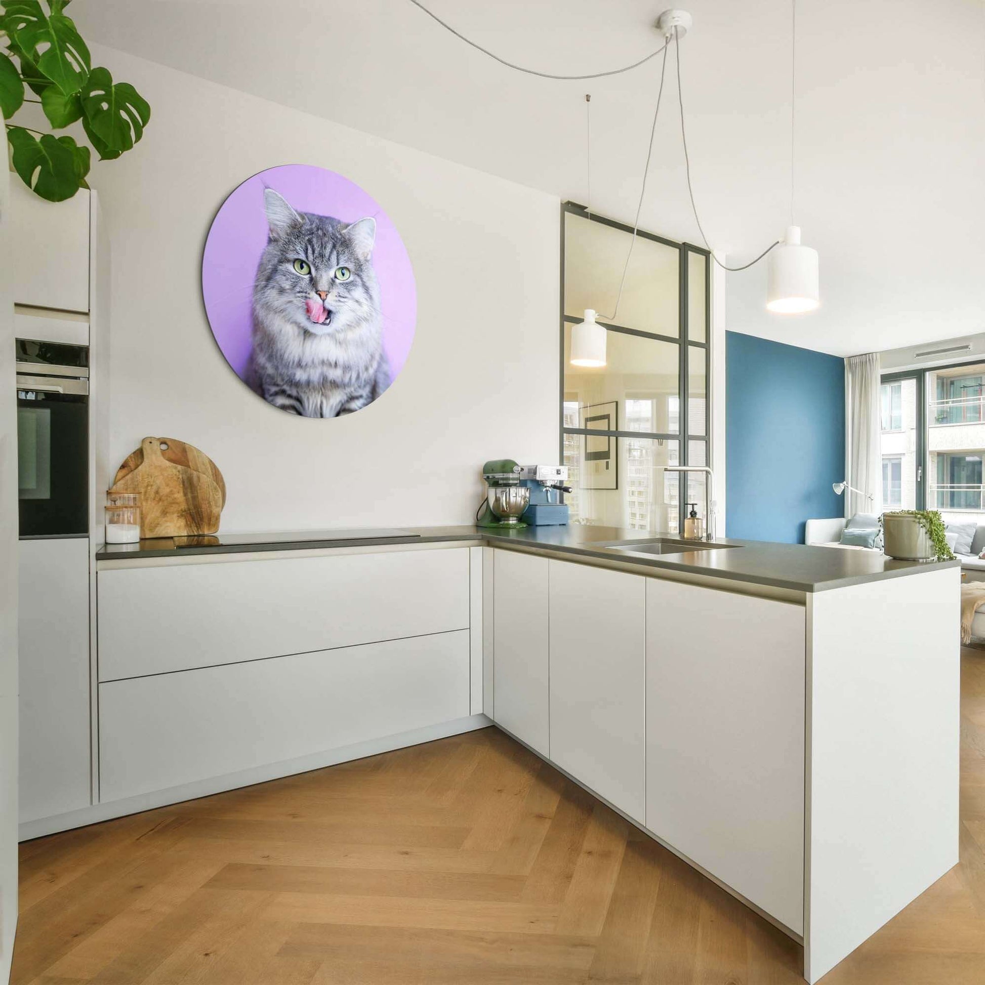 Lavender Lick - Wandbild einer grauen Katze, hinzugefügt in einer modernen Kücheneinrichtung.