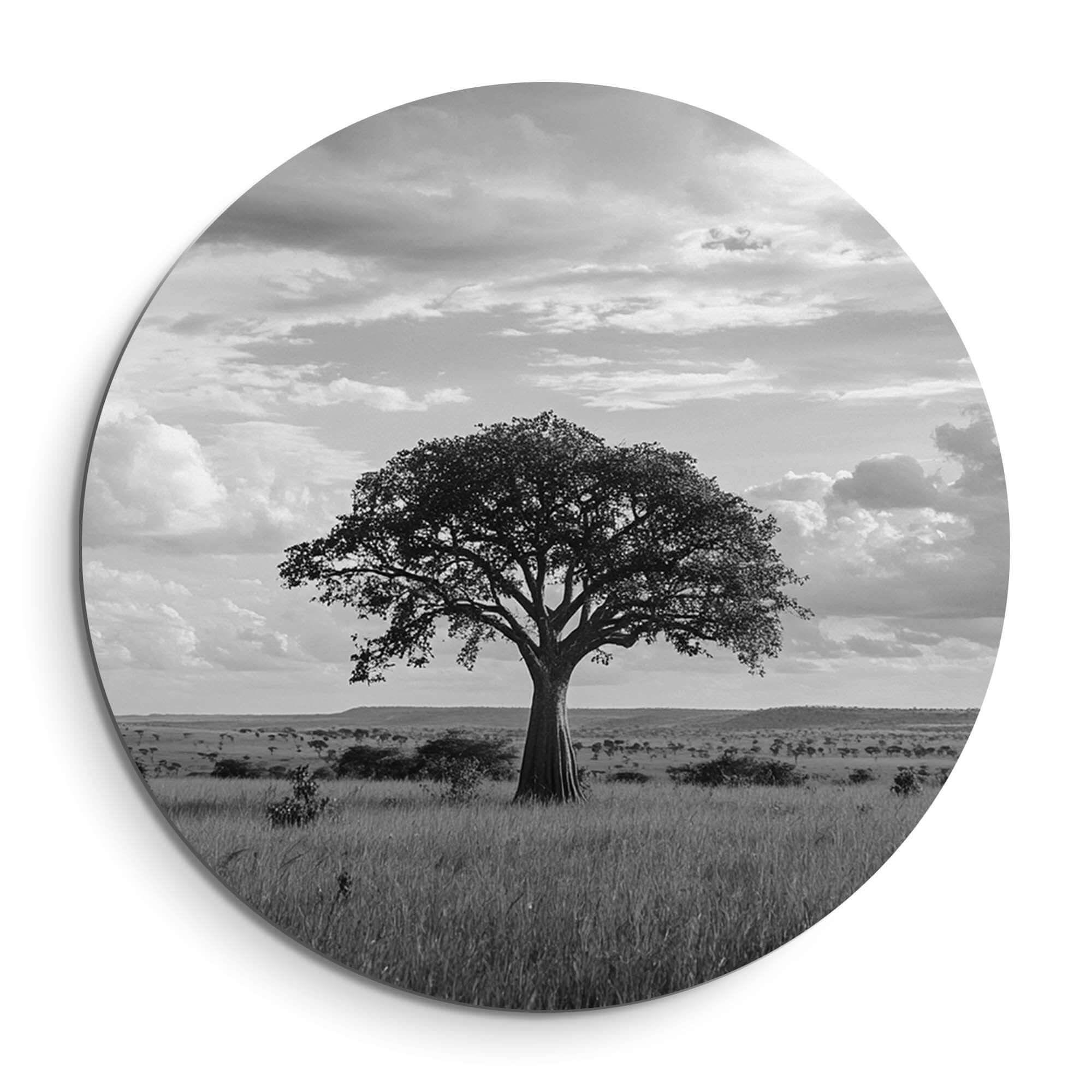 Lone Horizon - Wandbild mit einem einsamen Baum am Horizont, ruhiger schwarzer und weißer Wandbild für Wohnzimmer oder Küchendekoration.